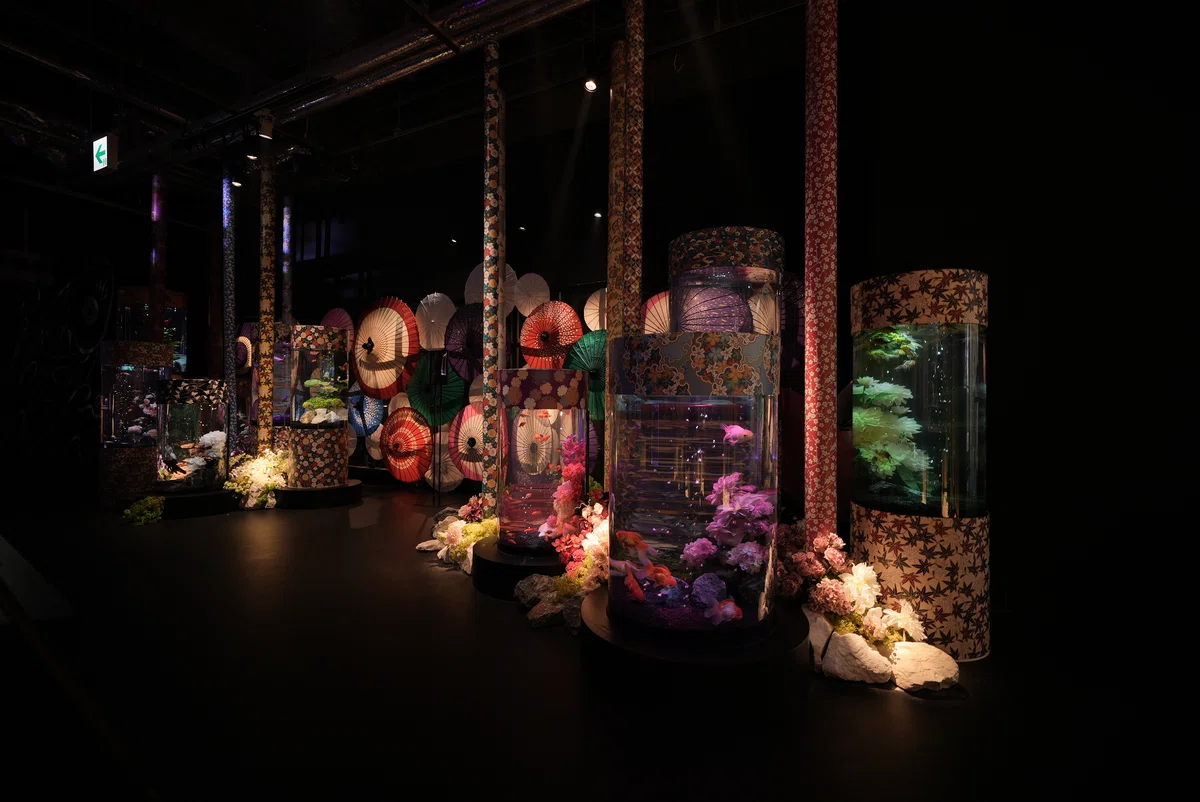 アク和リウムGA☆KYO(UWS AQUARIUM GA☆KYO)