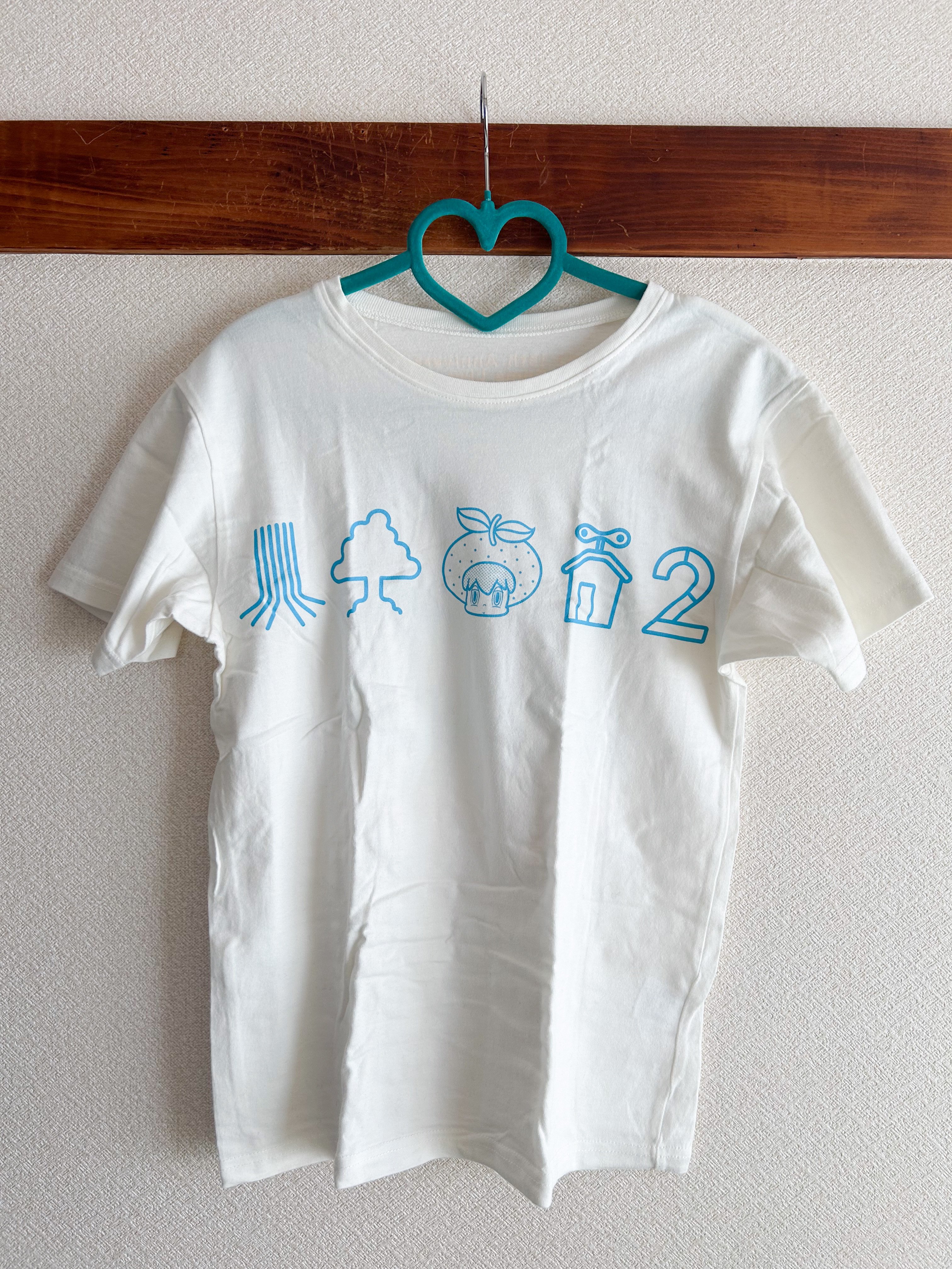 断捨離日記〜ゆずライブTシャツ編03〜バッグ多め。｜ふじさわ