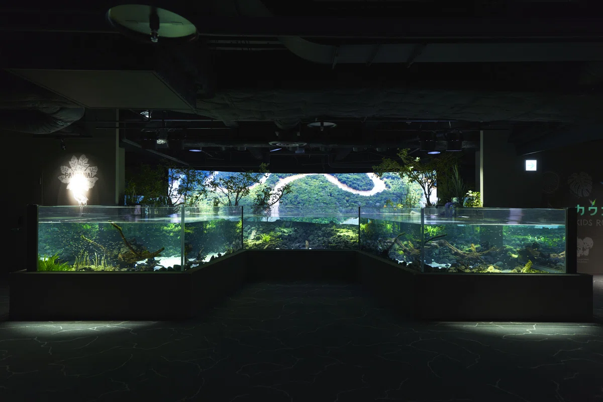 カワスイ 川崎水族館の水槽