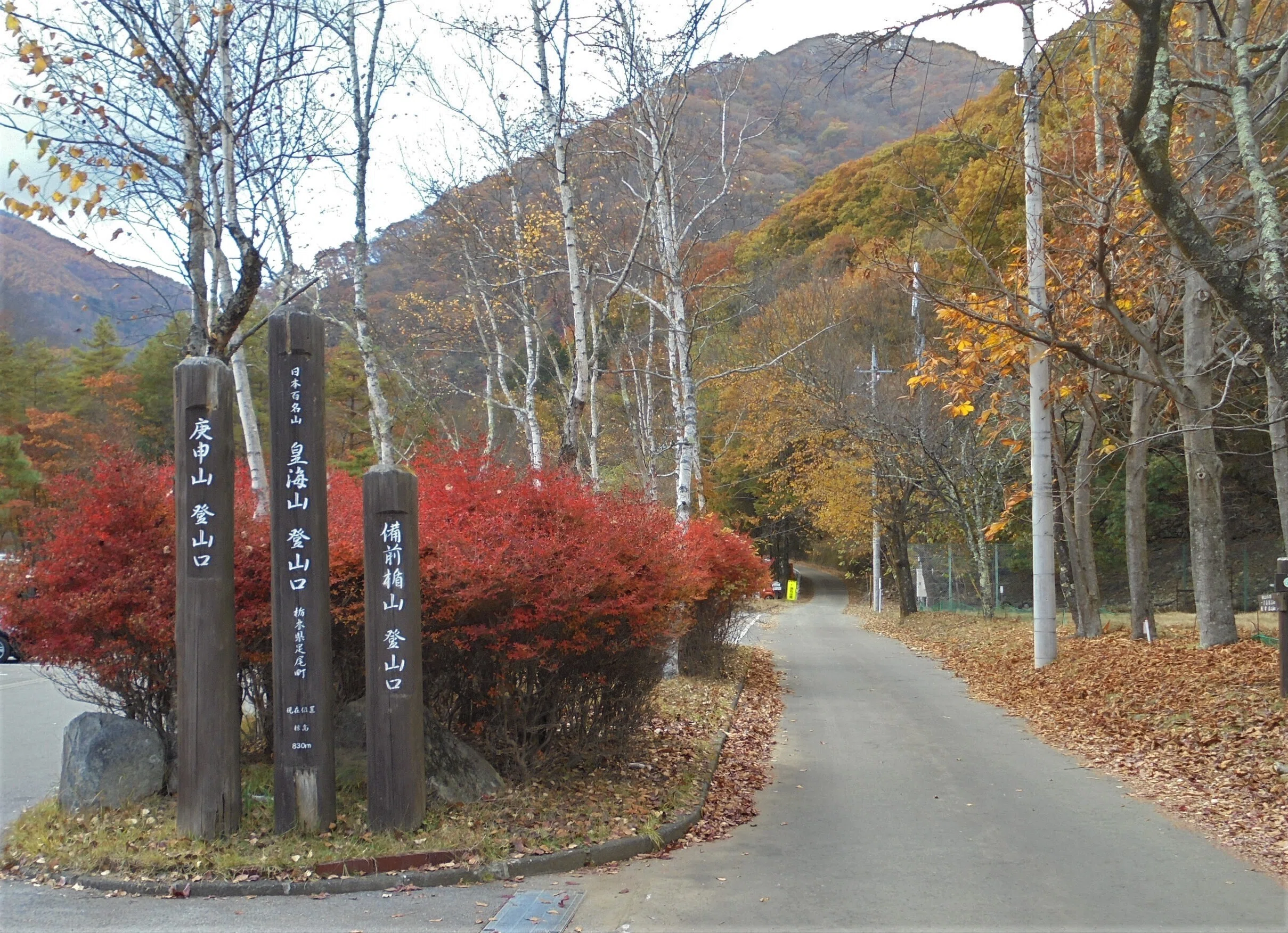 みんなに役立つ足尾銅山の歴史－その8－（林業）｜坂本寛明