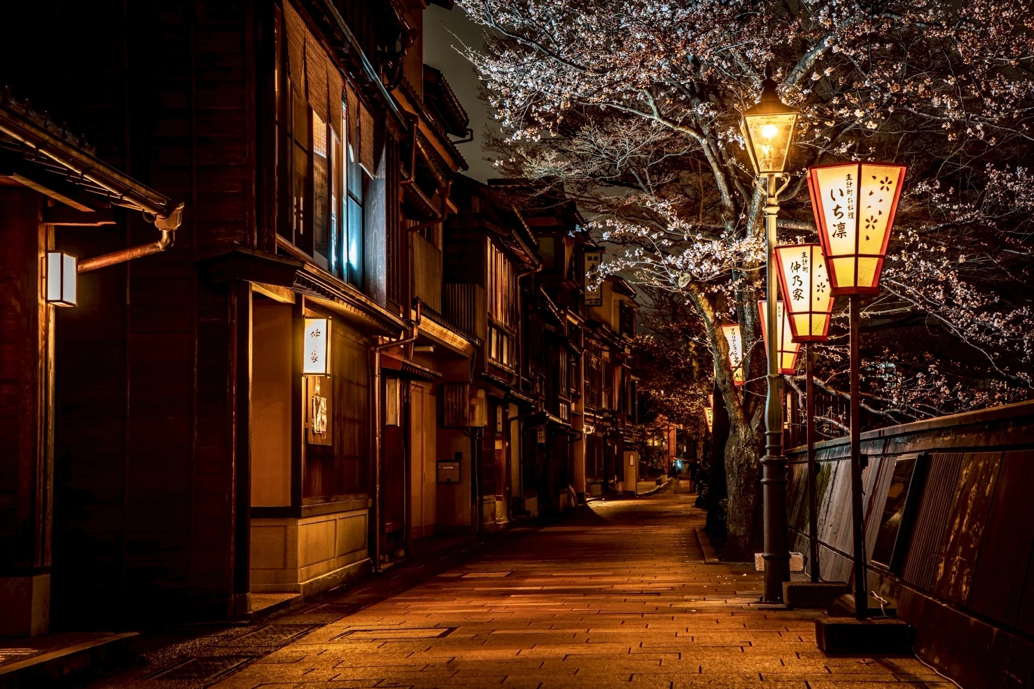 金沢城＆主計町茶屋街の夜桜ライトアップが始まりました｜Masaru