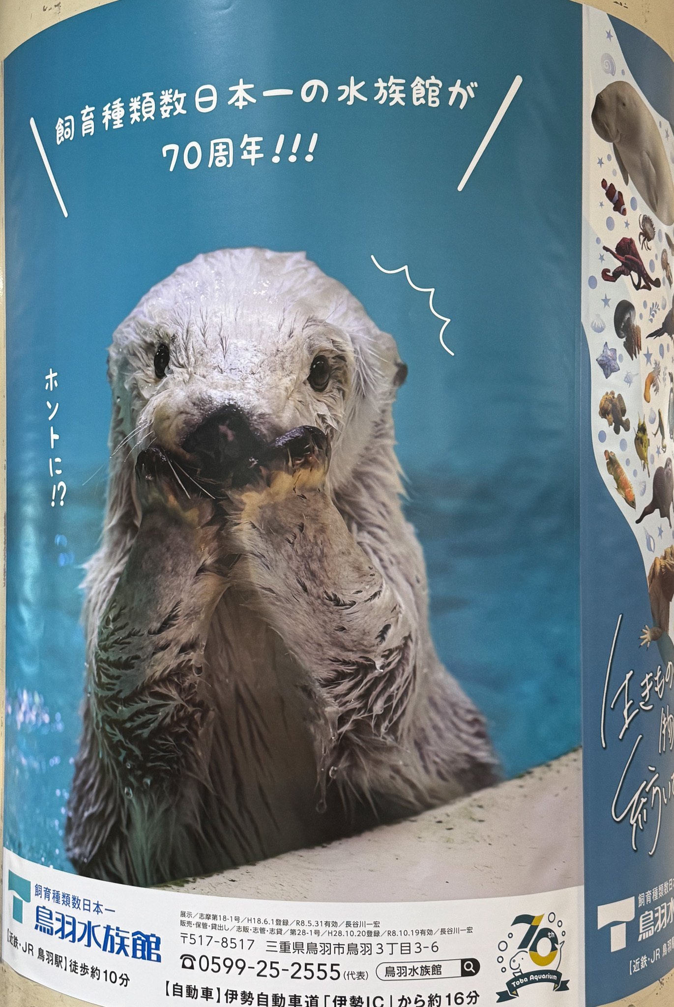 日本のアザラシ探訪記⑩鳥羽水族館（三重）｜ヒロサキ