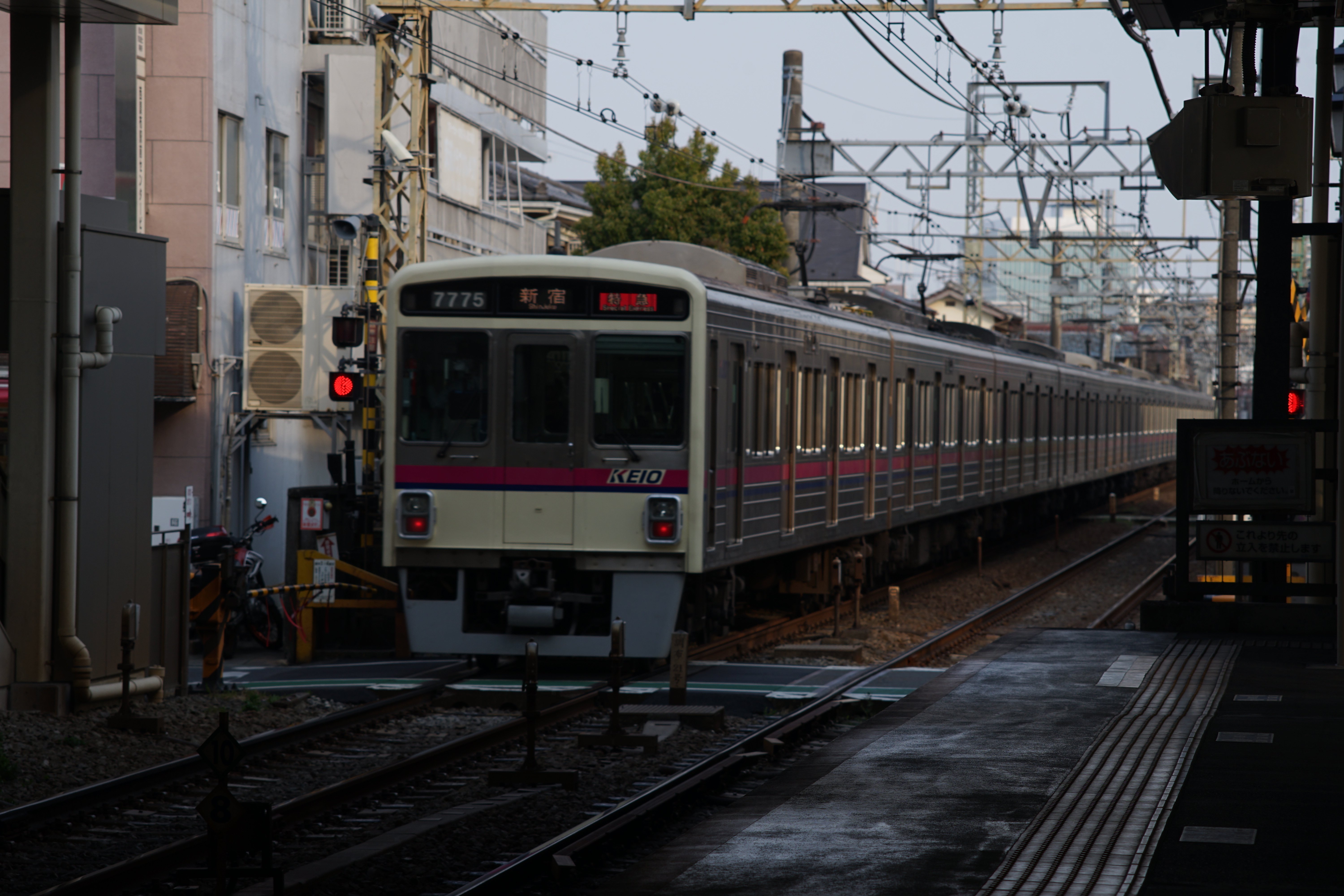 ★レア★ フォカ FOCA TELEOPLAR 135mm F4.5 NEX改造 ☆レア☆ フォカ FOCA TELEOPLAR 135mm F4.5 NEX改造