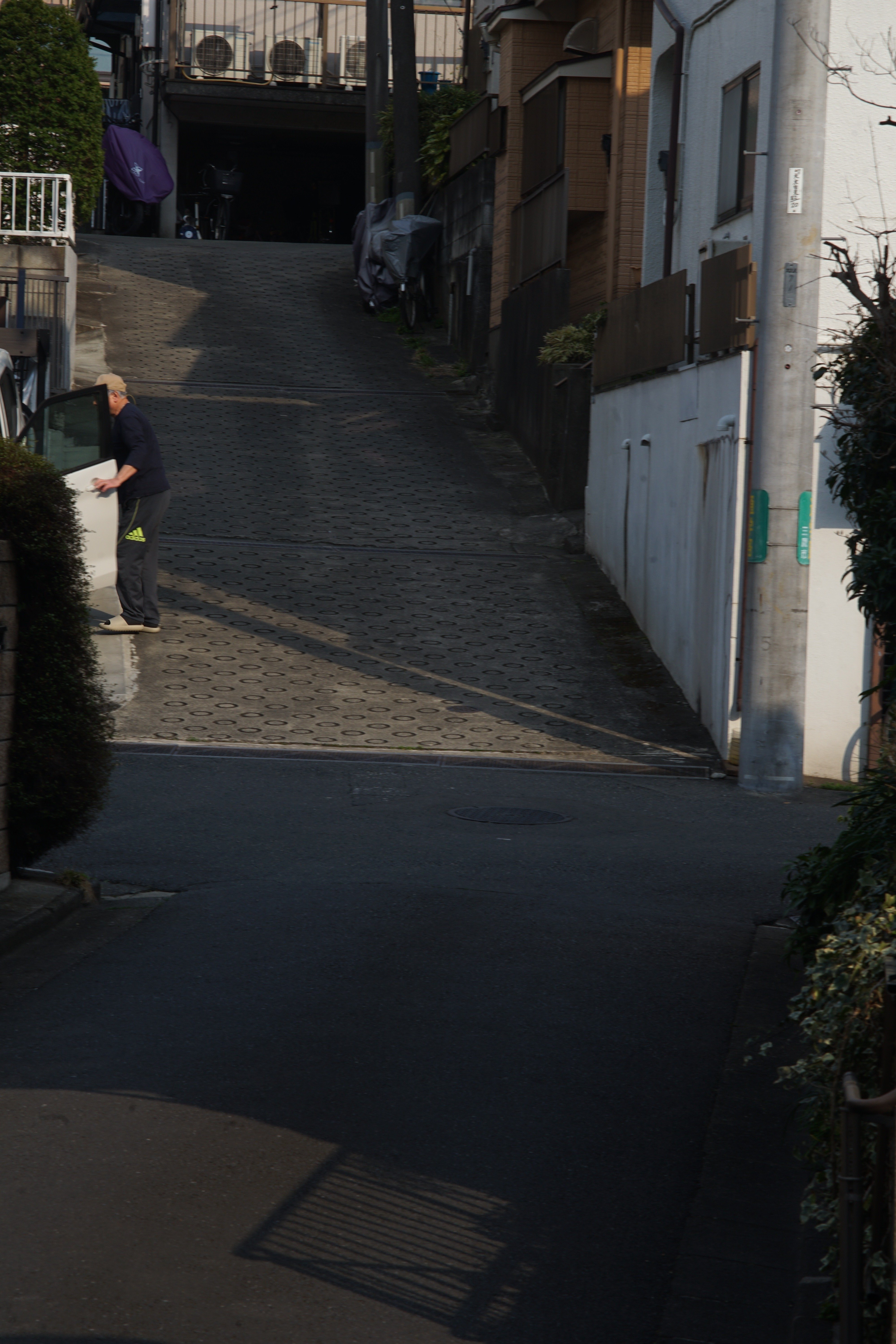 ★レア★ フォカ FOCA TELEOPLAR 135mm F4.5 NEX改造 写真】おフランスのレンズでお撮りあそばせ/FOCA Teleoplar