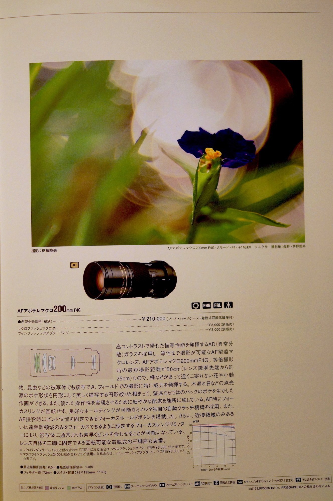 ミノルタ AF アポテレマクロ 200mm F4 G|TOLIMAN ミノルタ AF アポテレマクロ 200mm F4 G|TOLIMAN