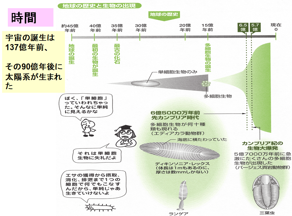 数でとらえる細胞生物学 - 羊土社