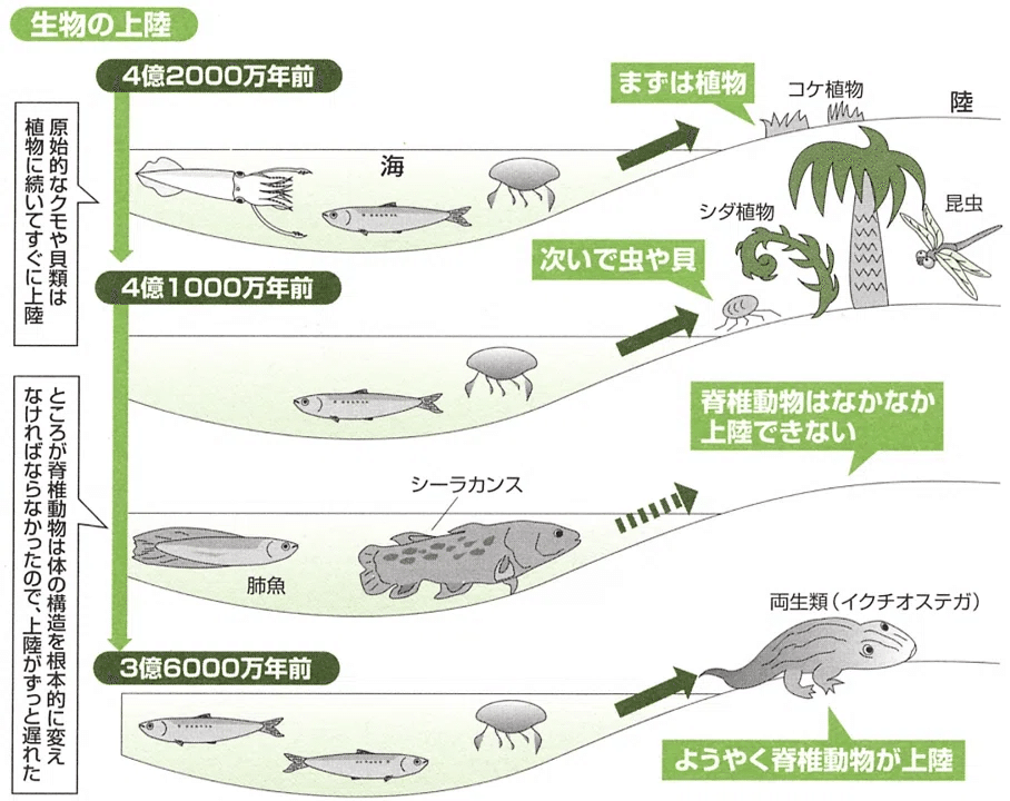 2025年度 教養生物学(一般生物学)1 第1週4月11日第2限 細胞説