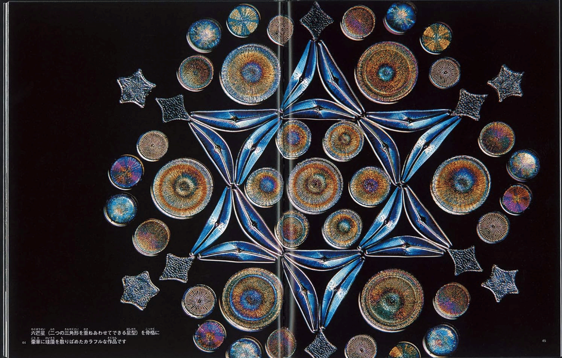 本】珪藻美術館 | 世界最小 美しいガラスアート｜カオリ | 星詠み