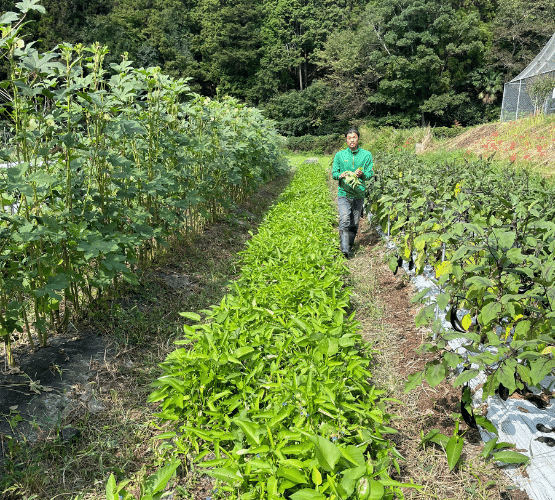野菜それぞれの個性を引き出す土を作りたい｜兵庫県・松崎農場 松崎