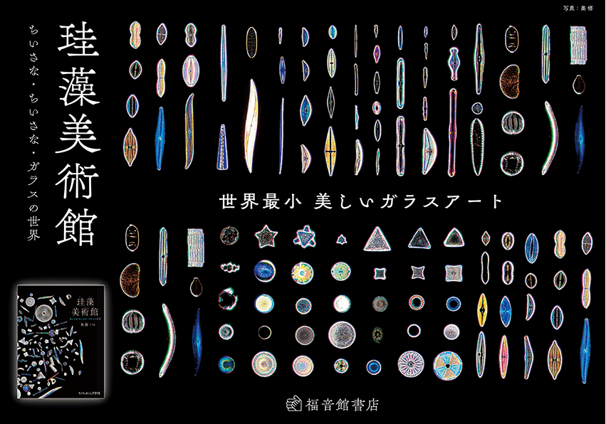 本】珪藻美術館 | 世界最小 美しいガラスアート|カオリ アート 本】珪藻美術館 | 世界最小 美しいガラスアート|カオリ アート