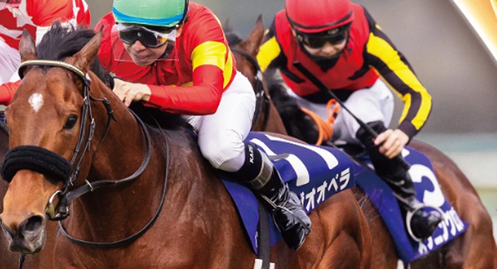 2025大阪杯ポスター｜日本サイン競馬会