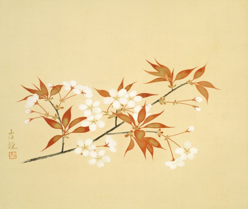 桜の名画に浸るひとときを｜山種美術館で特別展「桜 さくら SAKURA