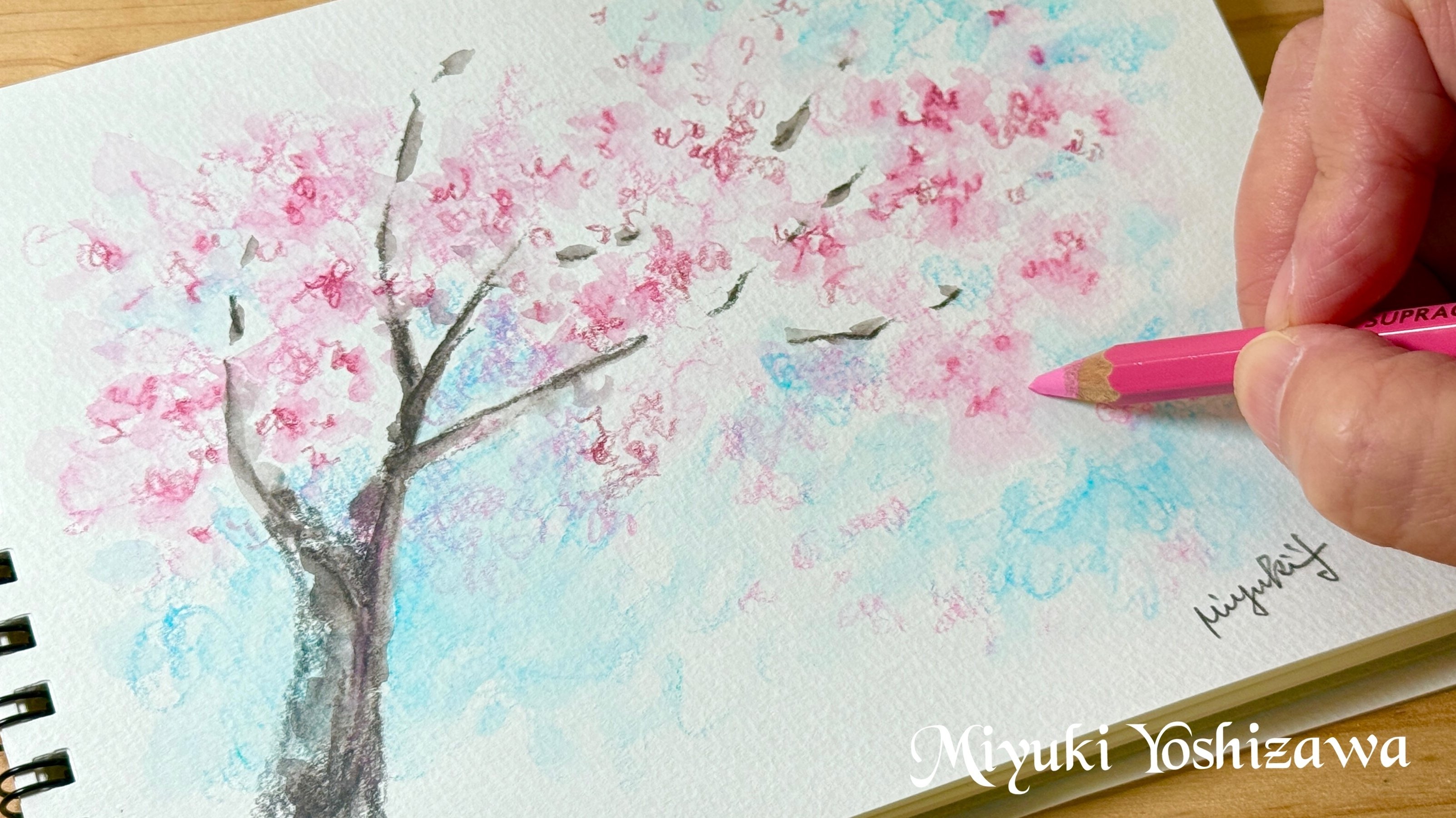 簡単！水彩色鉛筆4本で描く桜の描き方｜吉沢深雪