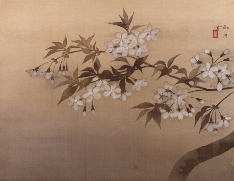 桜の名画に浸るひとときを｜山種美術館で特別展「桜 さくら SAKURA