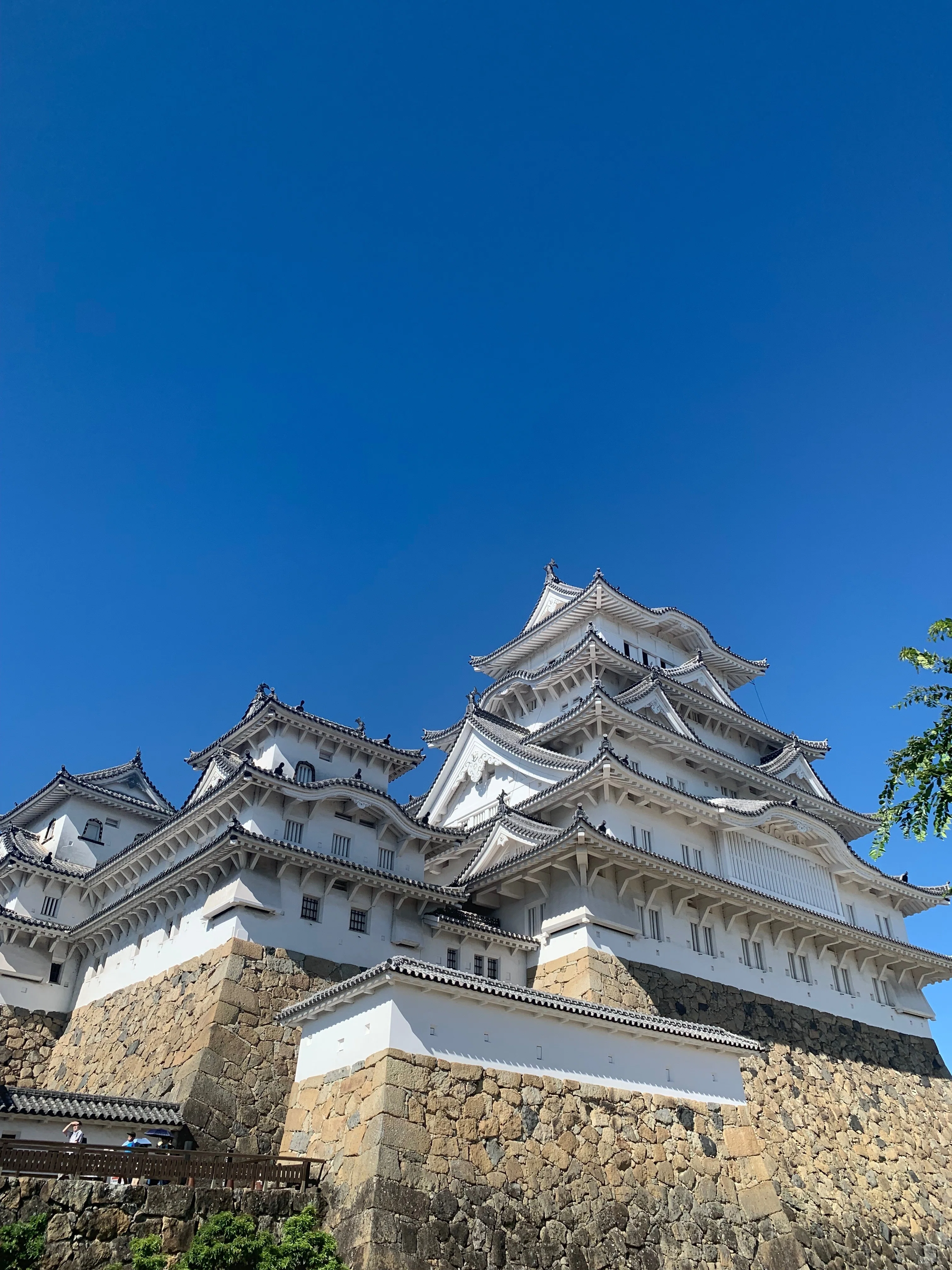 日本の国宝5城制覇！！行ってみた感想｜ミナト