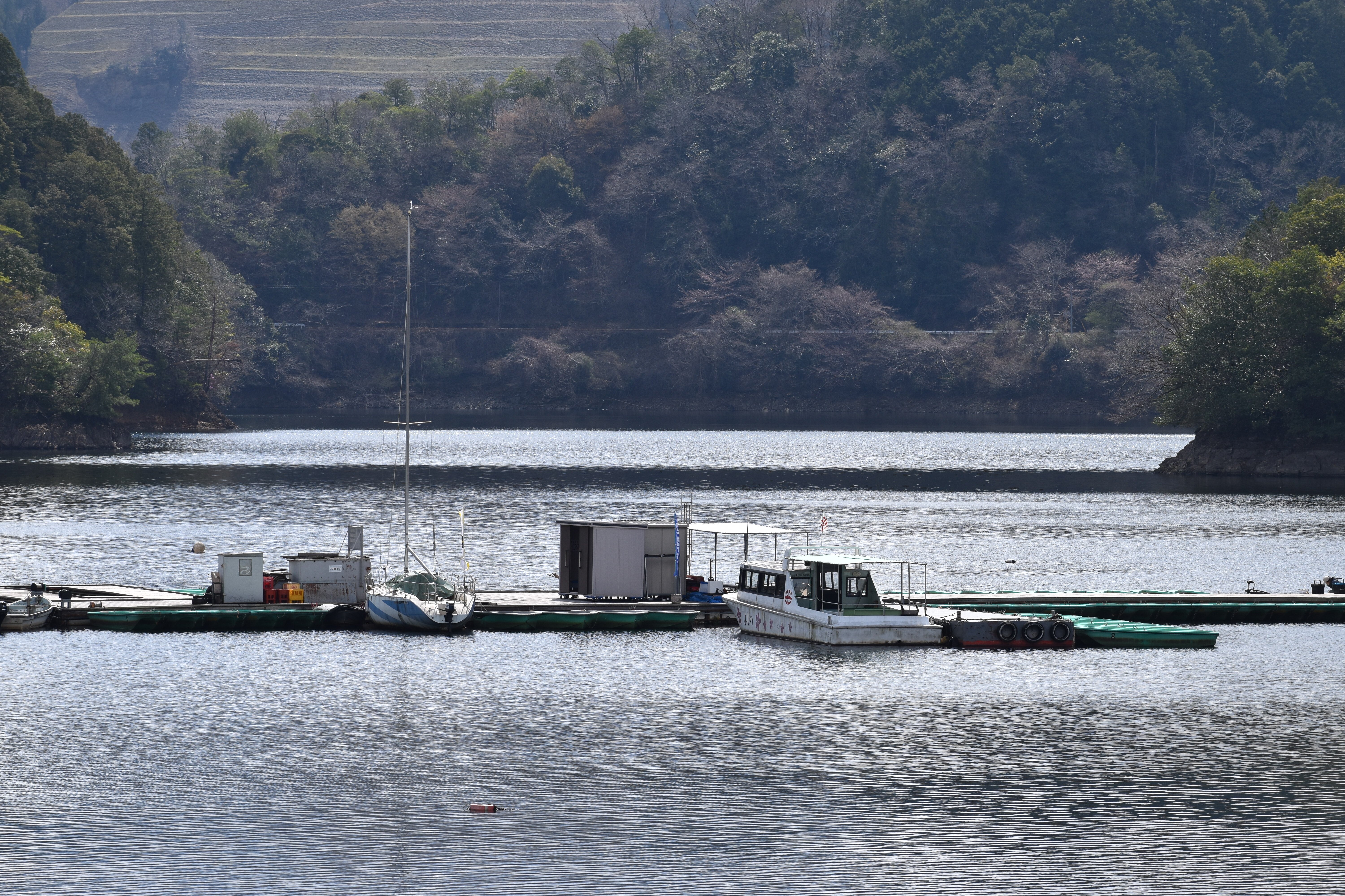 津風呂湖百景8 「春 桜花編」 ｜高坂正澄