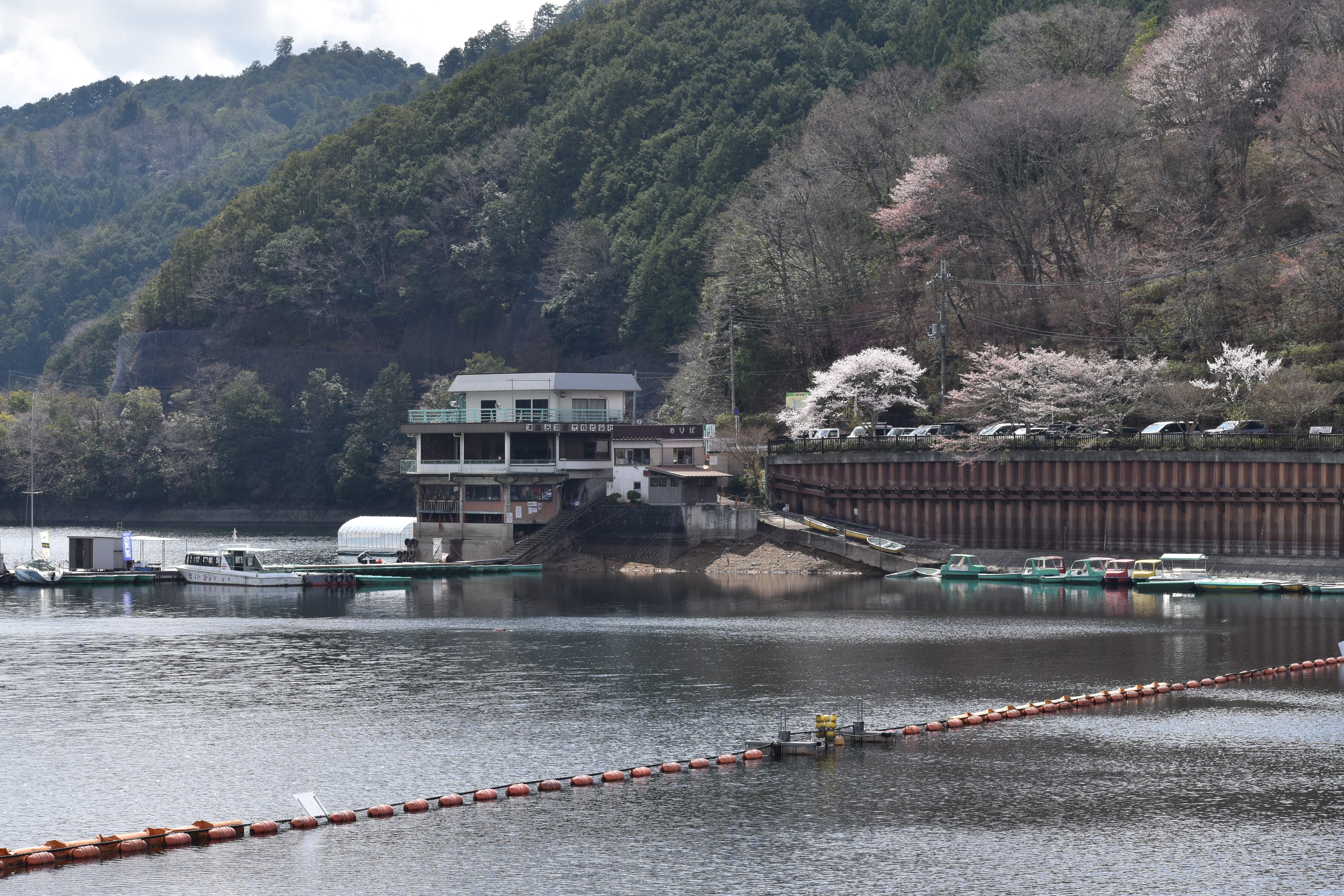津風呂湖百景8 「春 桜花編」 ｜高坂正澄