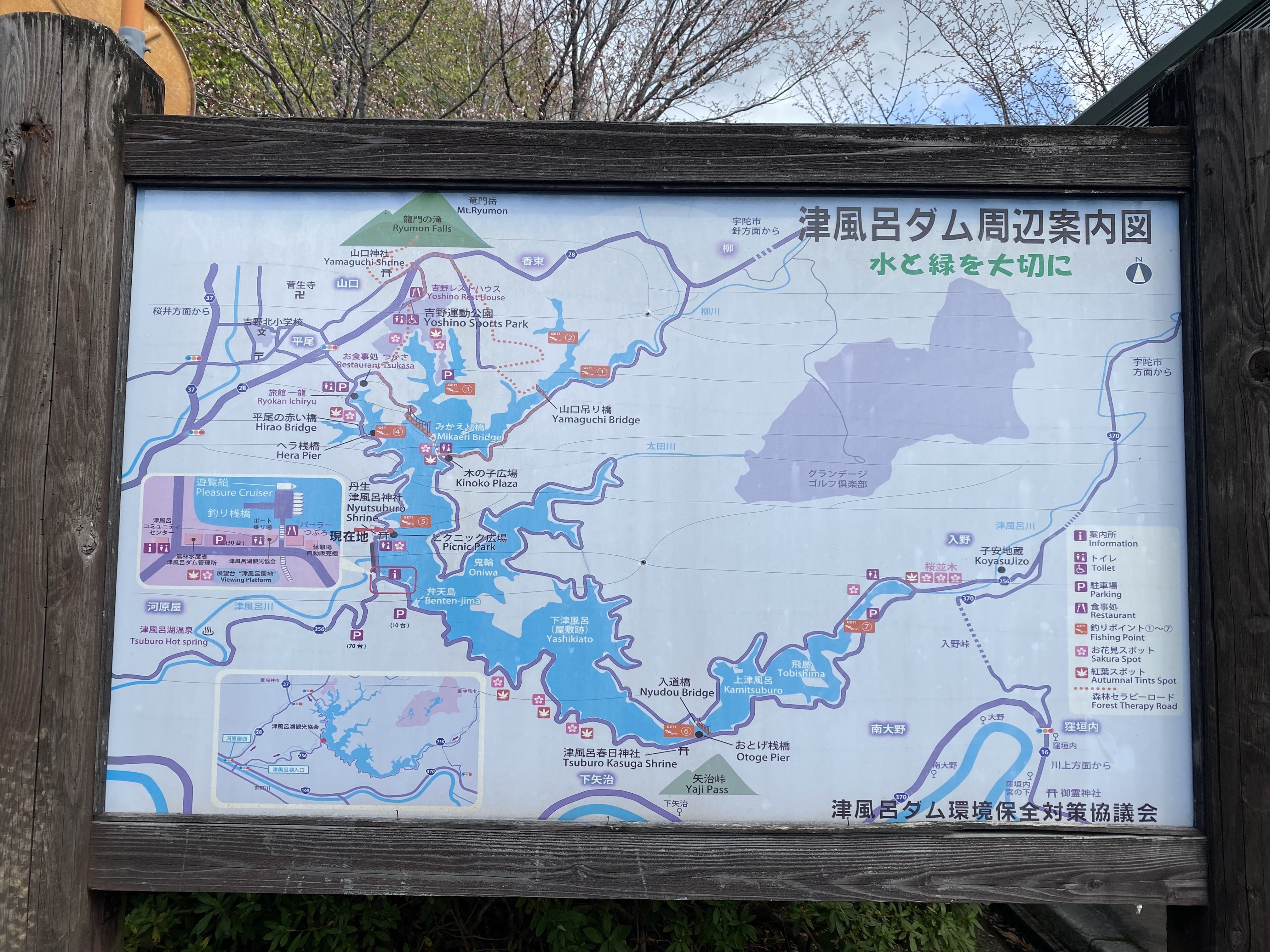 津風呂湖百景8 「桜花編（R7-4-3）」（奈良県吉野町） ｜高坂正澄