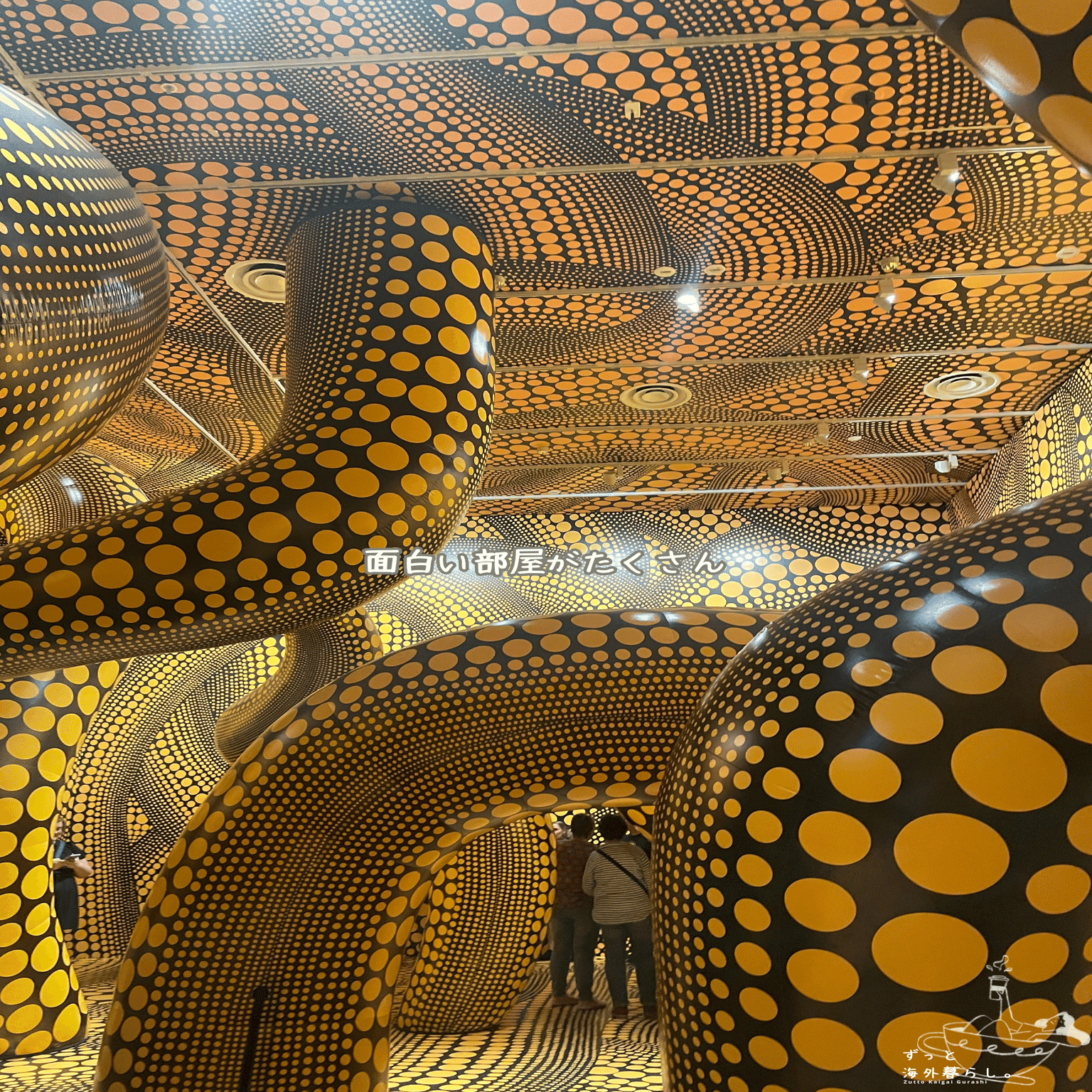 メルボルン奮闘記】草間彌生展に行ってきた。｜アメミのずっと海外