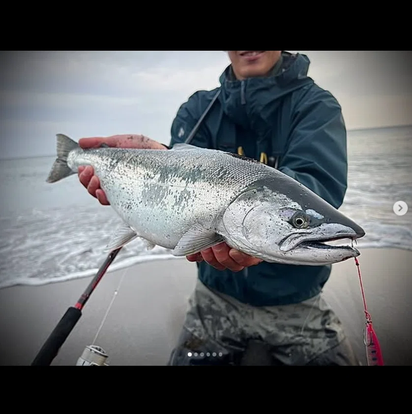 2024年の海アメ、海サクラ｜angler_noji