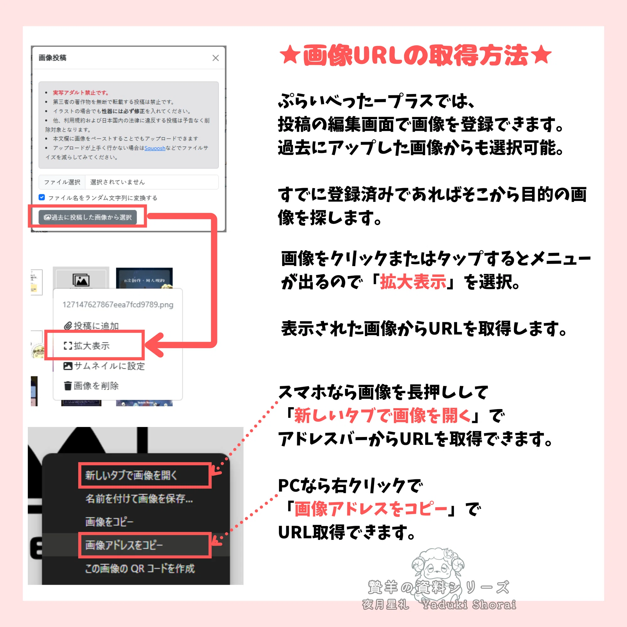 公の場での発言・インタビュー報道記録