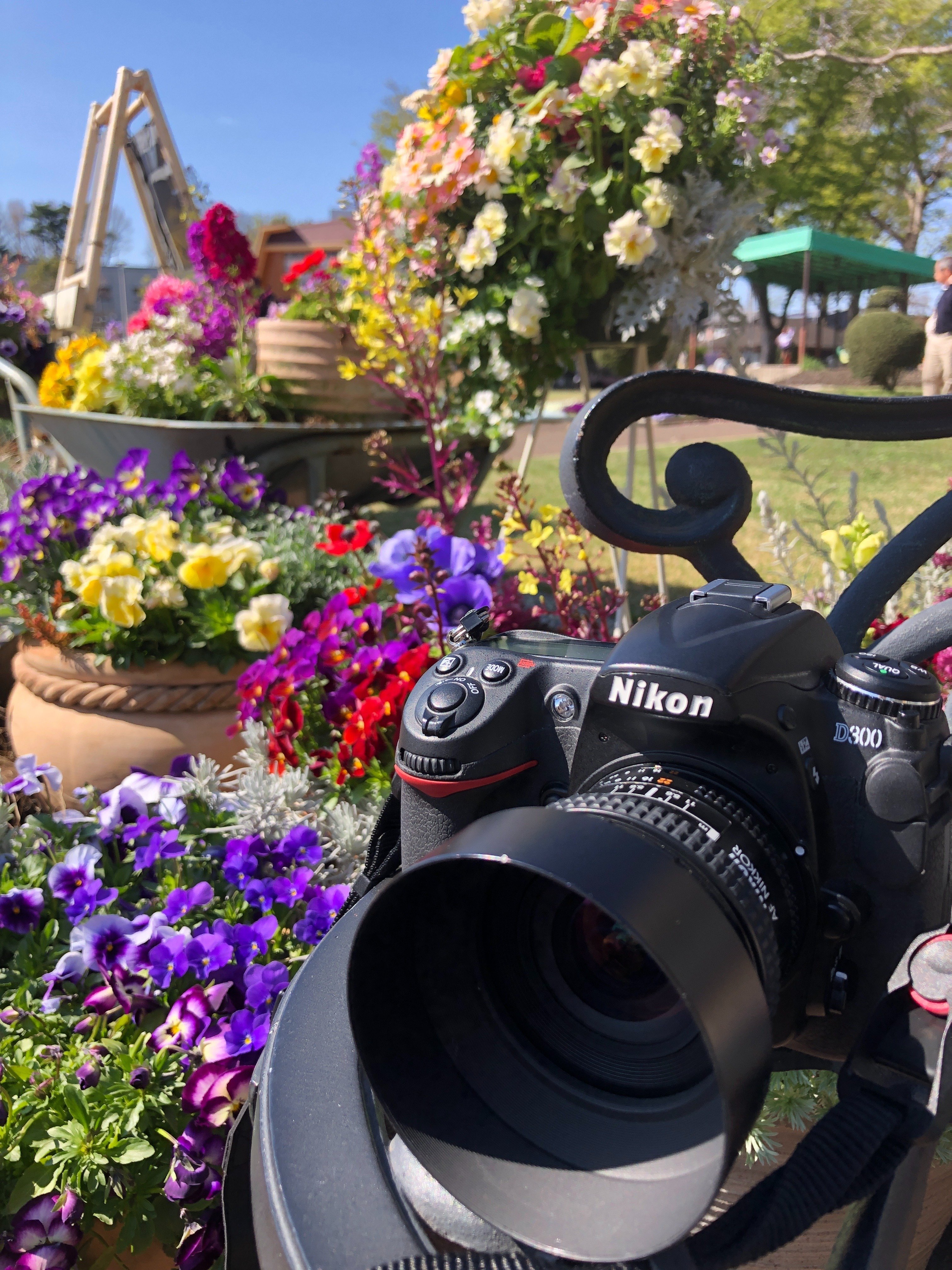 AI AF Nikkor 20mm f/2.8Dというレンズ|まつぼっち AI AF Nikkor 20mm f/2.8Dというレンズ|まつぼっち