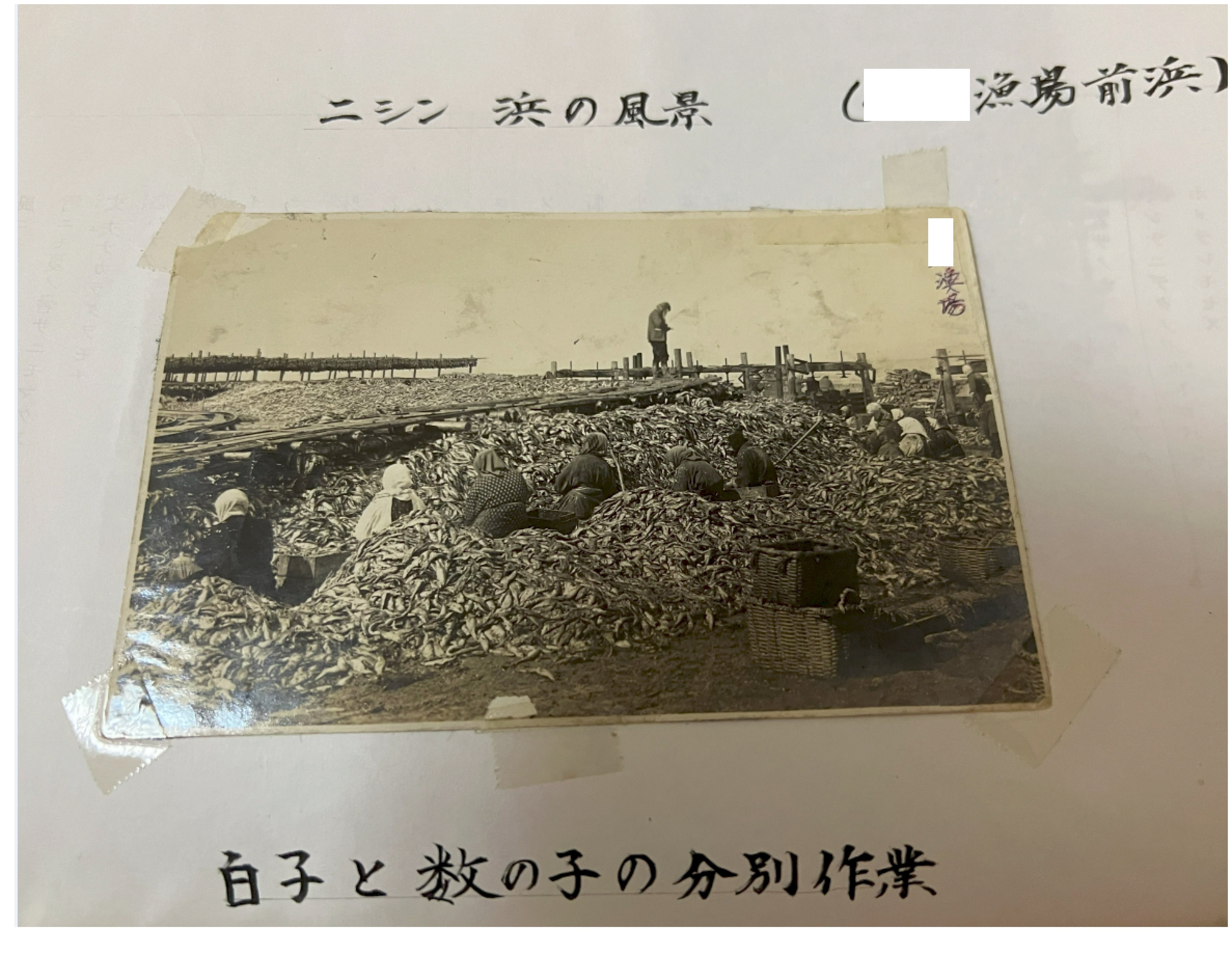 樺太』を生きたこどもたち ～令和の證言～ [Y.M様][阿幸]その①