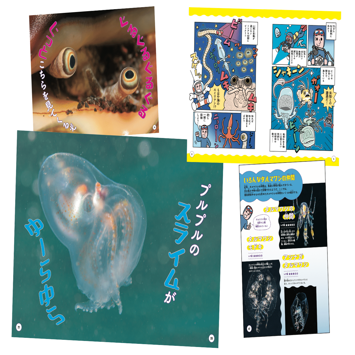 海のエイリアン図鑑』の魅力＆チリモンとのコラボイベント開催（4/19