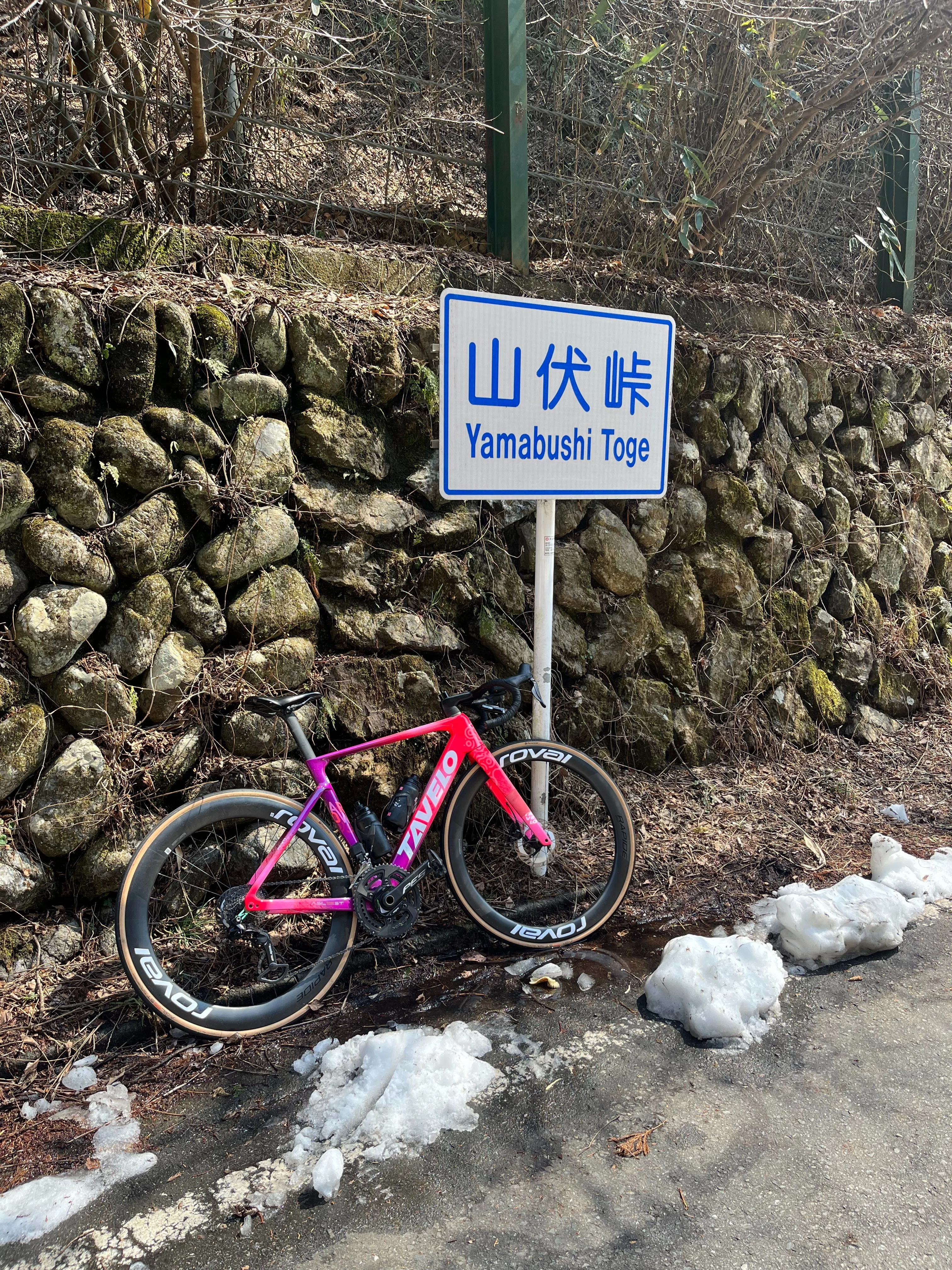 自腹で買って試したからこその本気レビュー！！TAVELO AROW RACE｜Teppei