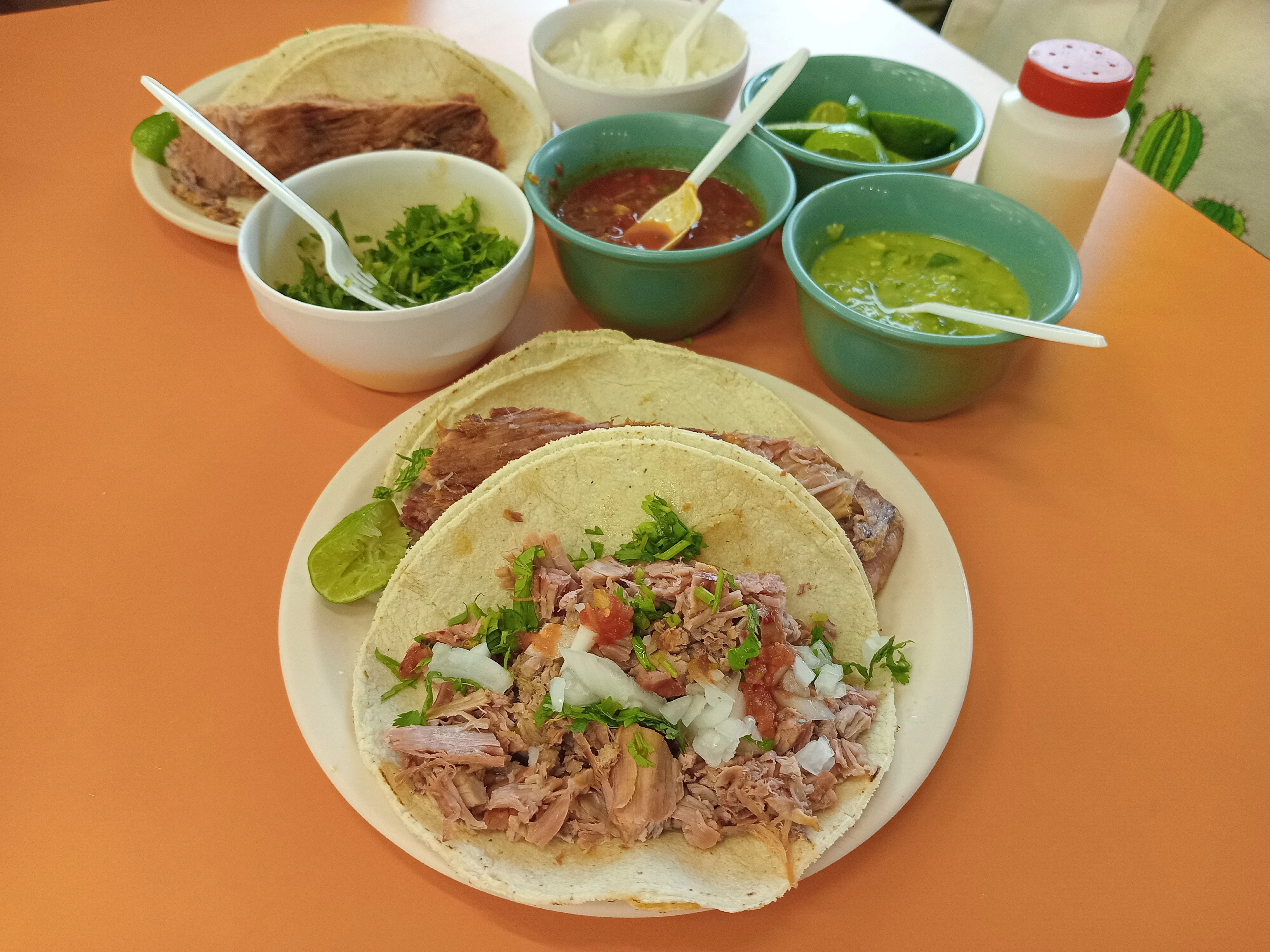 🇲🇽メキシコ】#3 メキシコシティ巡り、タコスの巨大お肉にびっくり