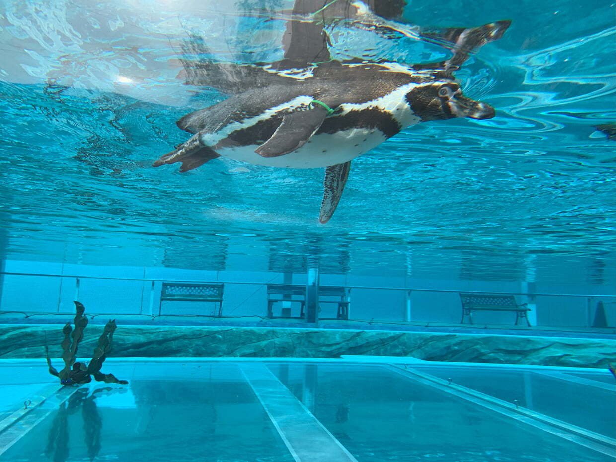 写真】九十九島動植物園森きらら 2025.4.1｜おくむらなをし