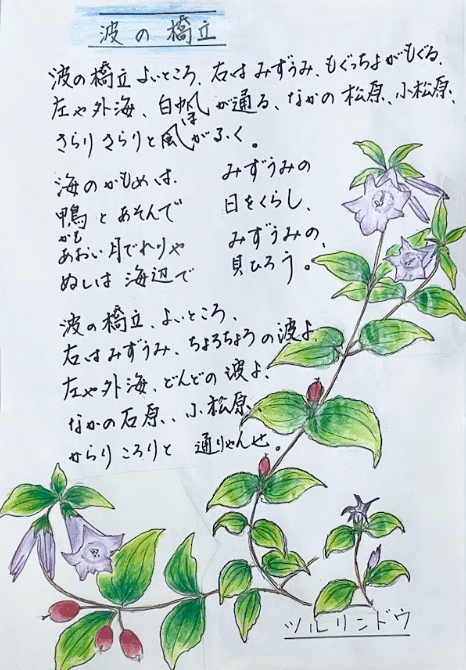 みすゞの詩と植物スケッチ vol.63~64 ユキノシタ/ツルリンドウ みすゞの詩と植物スケッチ vol.63~64 ユキノシタ/ツルリンドウ