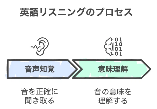 英語が聞き取れない理由｜熊谷拓哉（くま）｜ビジネス英語コーチ