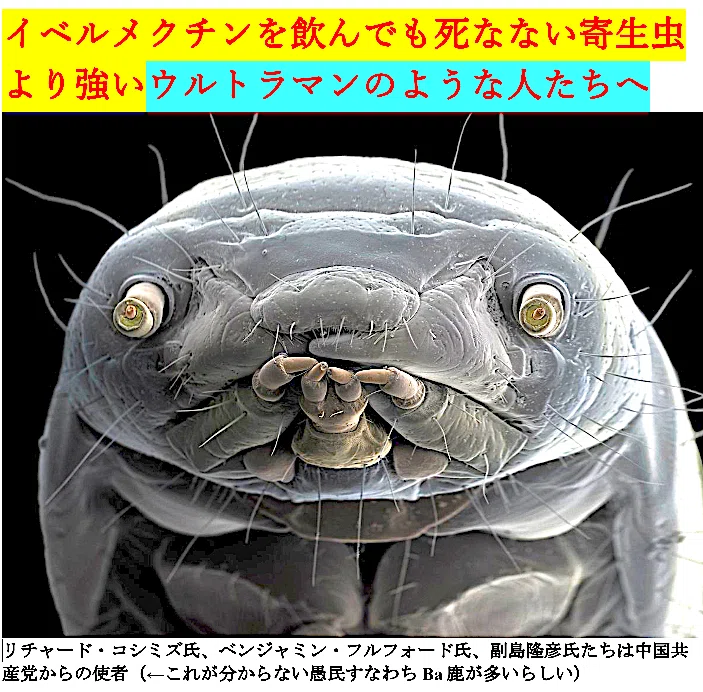 コシミズ氏の正体 リチャード・コシミズ（輿水 正）殺人事件｜参政党