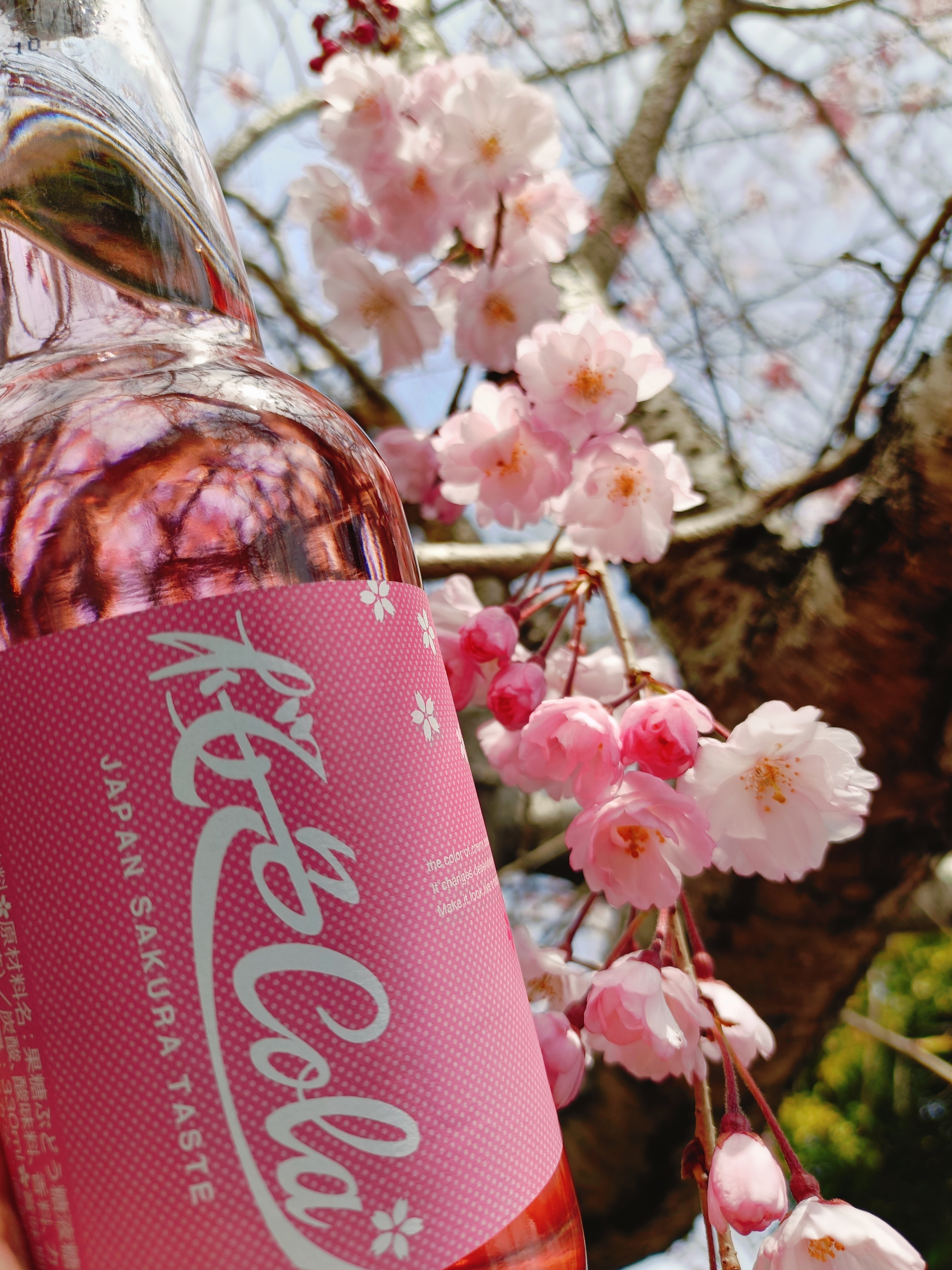 素通りできない……。（桜色Cola）｜あずさ
