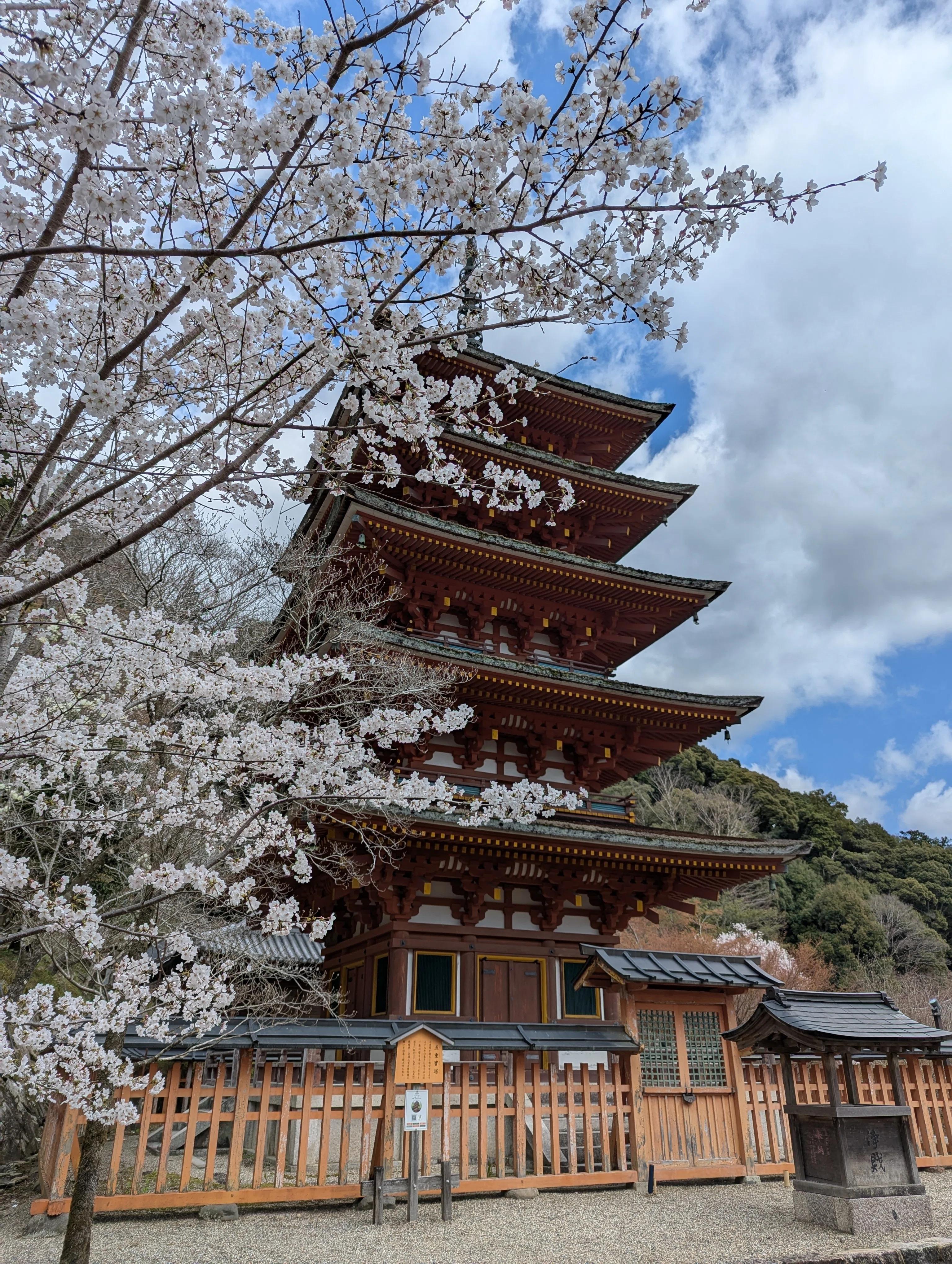 奈良・長谷寺】初瀬の満開さくら旅🌸｜さりー