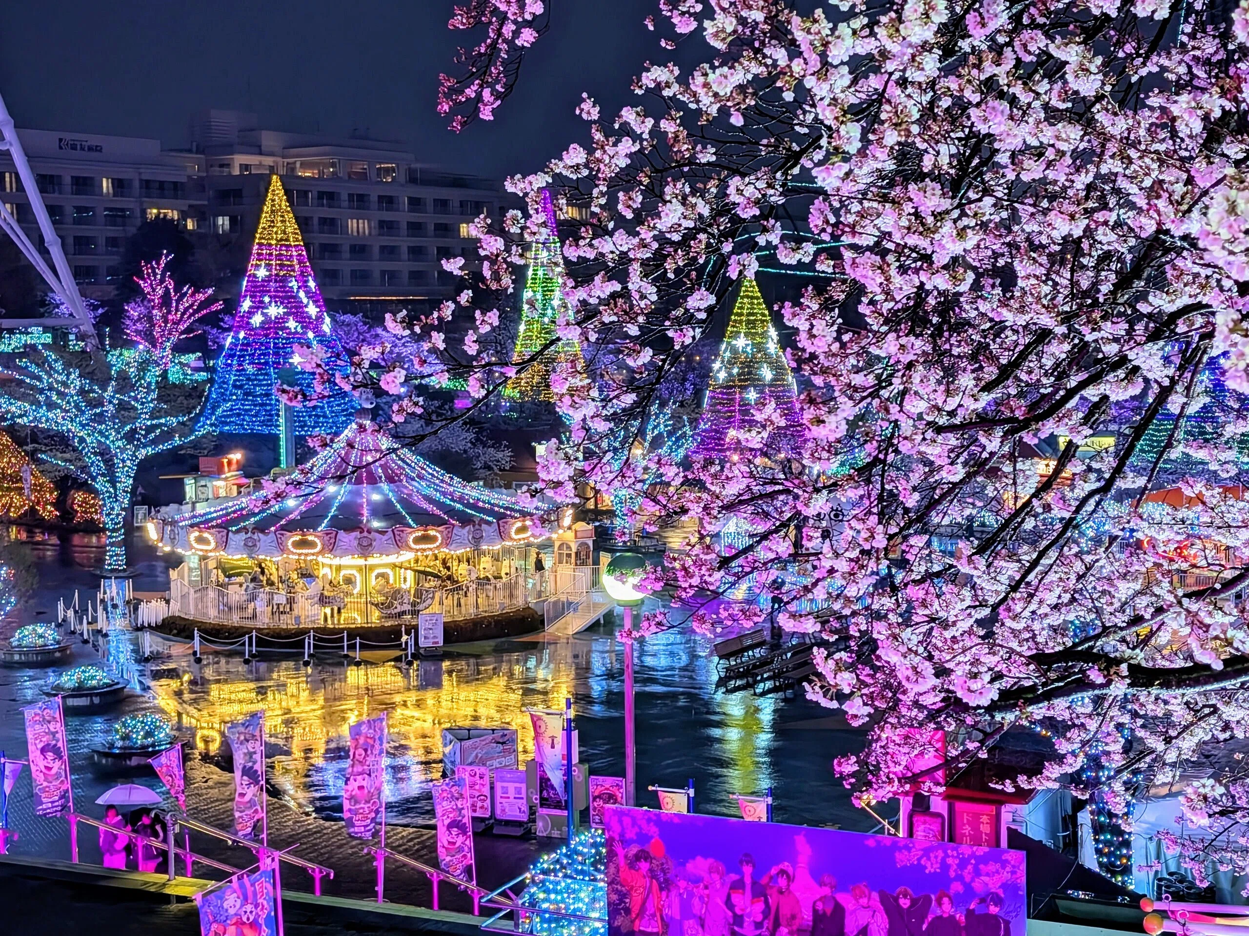 よみうりランド「夜桜ジュエルミネーション」2025｜少佐のノオト