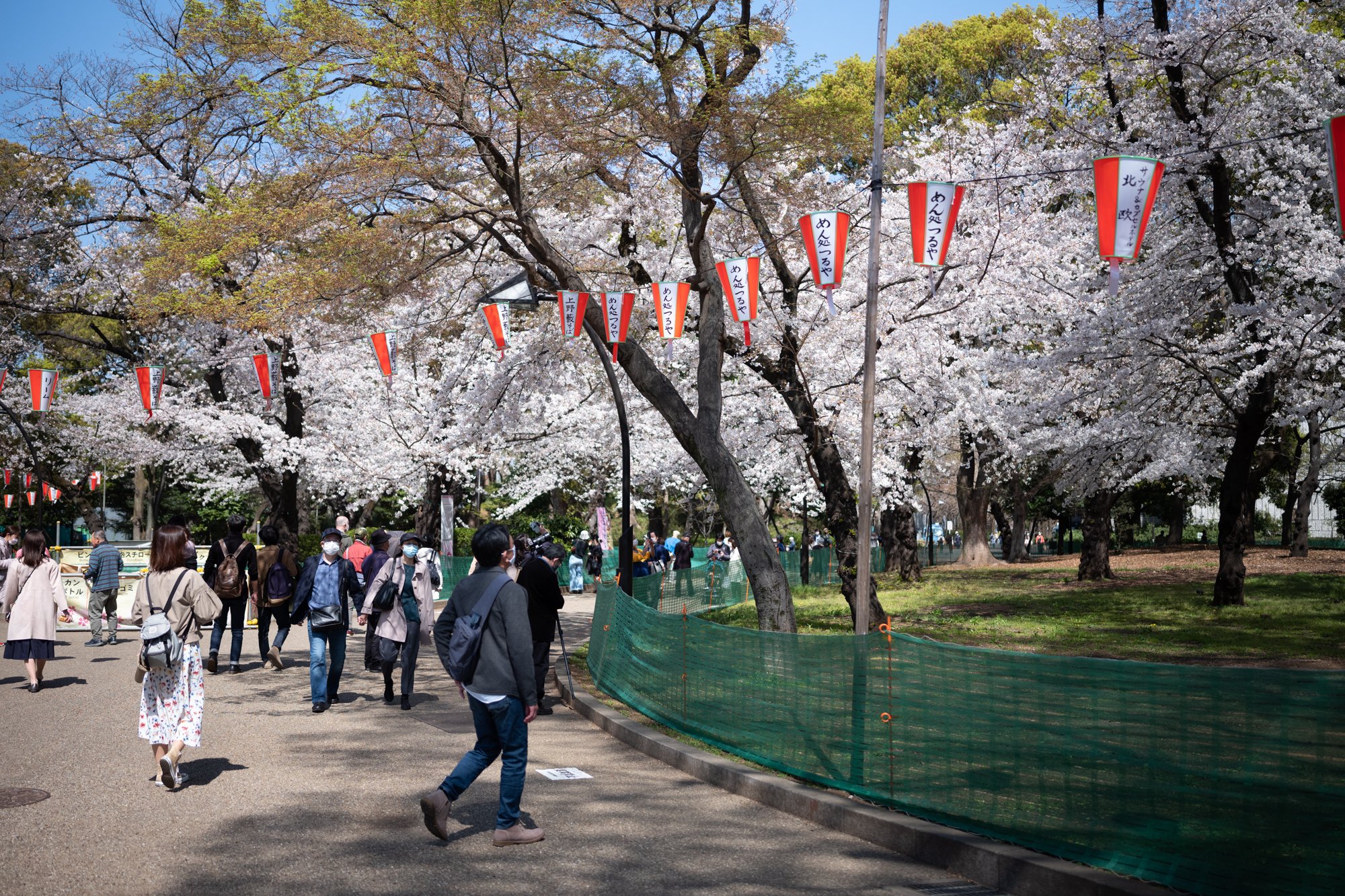 上野公園オルカンまつり｜澤村 徹