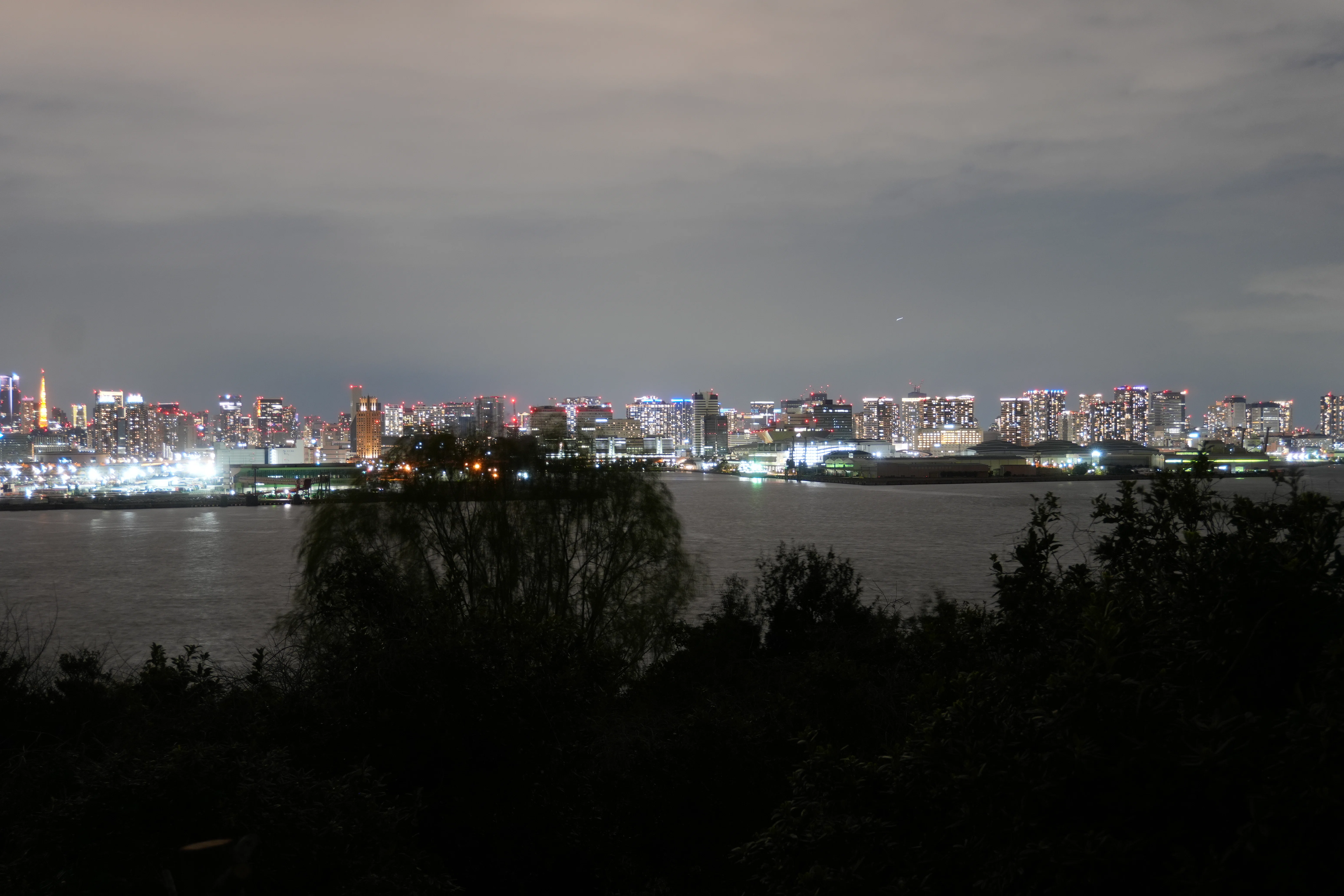 現地レポ】東京湾埋立地の新名所「海の森公園」を夜に歩いてみたら夜景