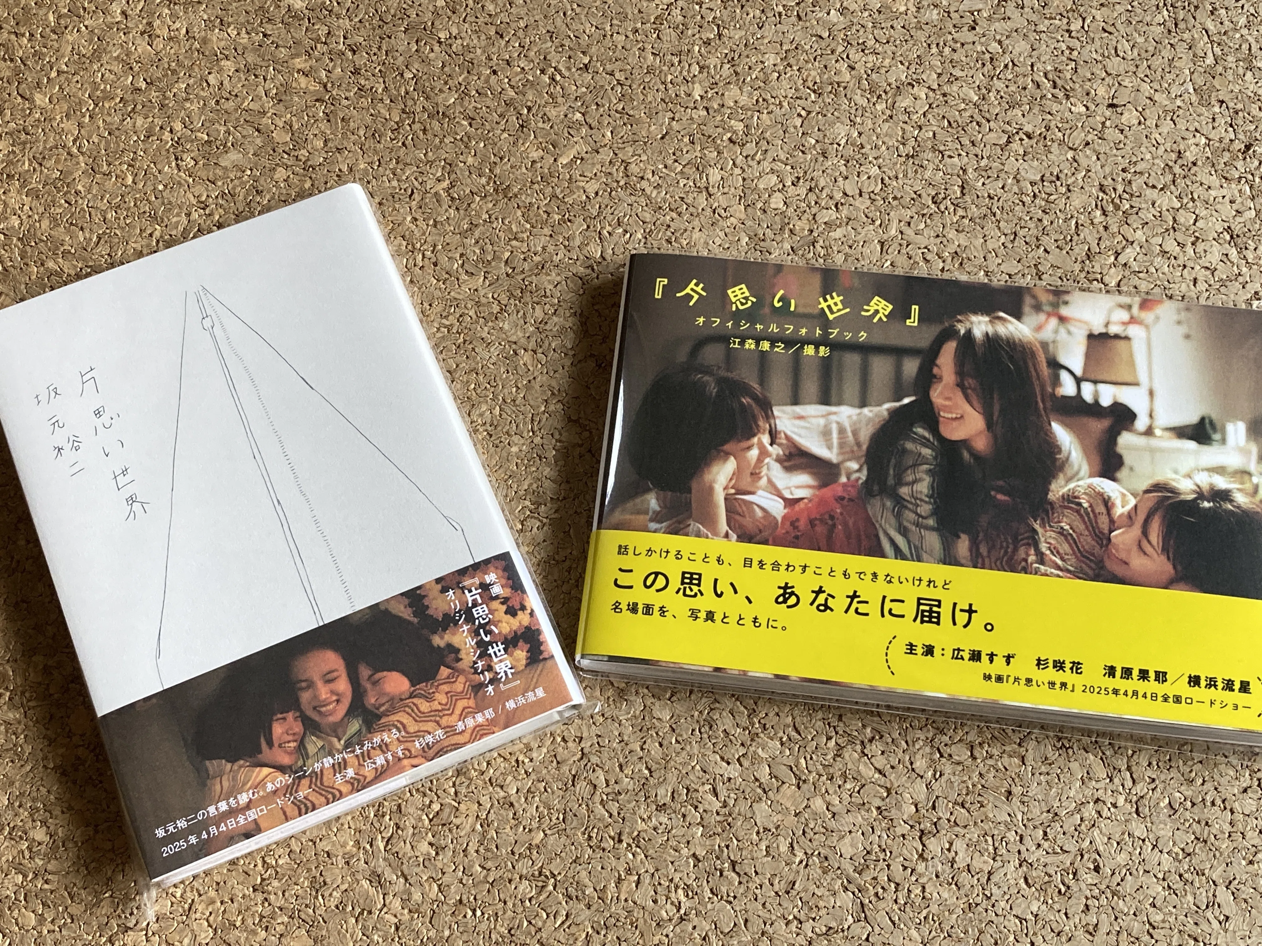 もう話してもいいですよね？ 片思い世界のエキストラに参加してました