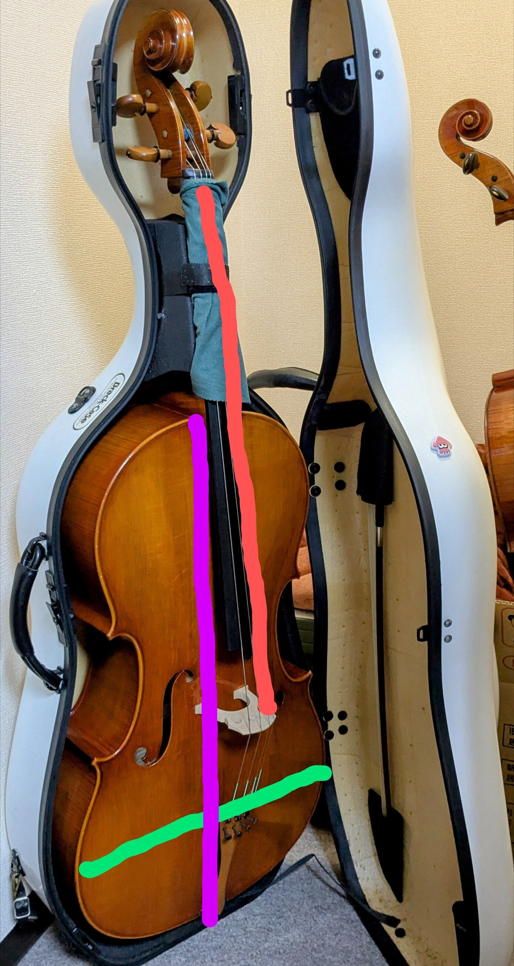 チェロの身体測定｜こうめ