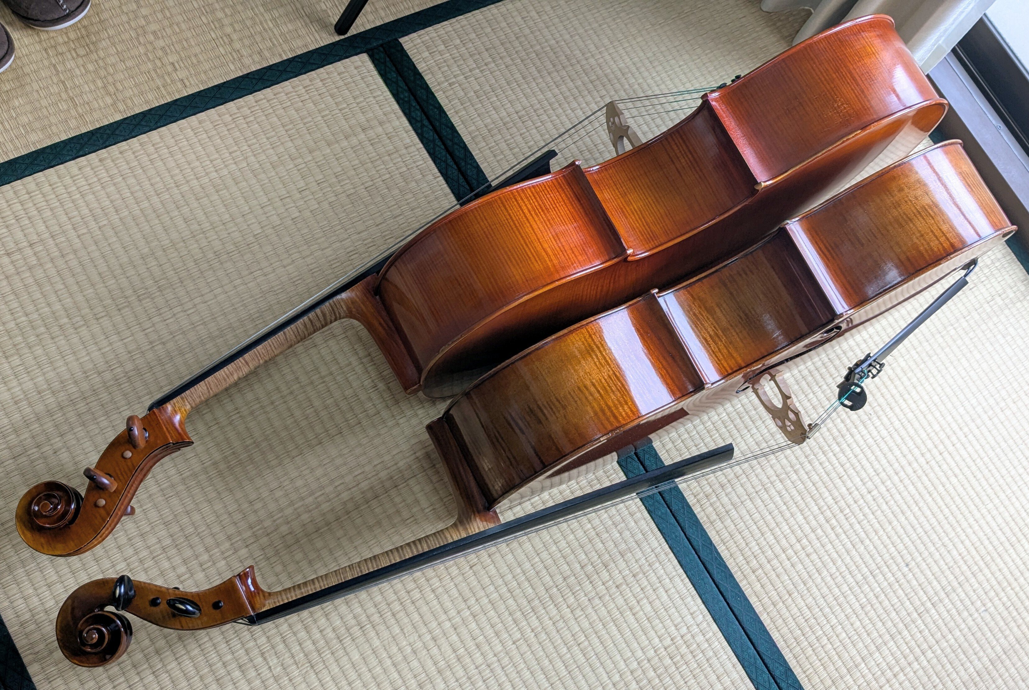 チェロの身体測定｜こうめ