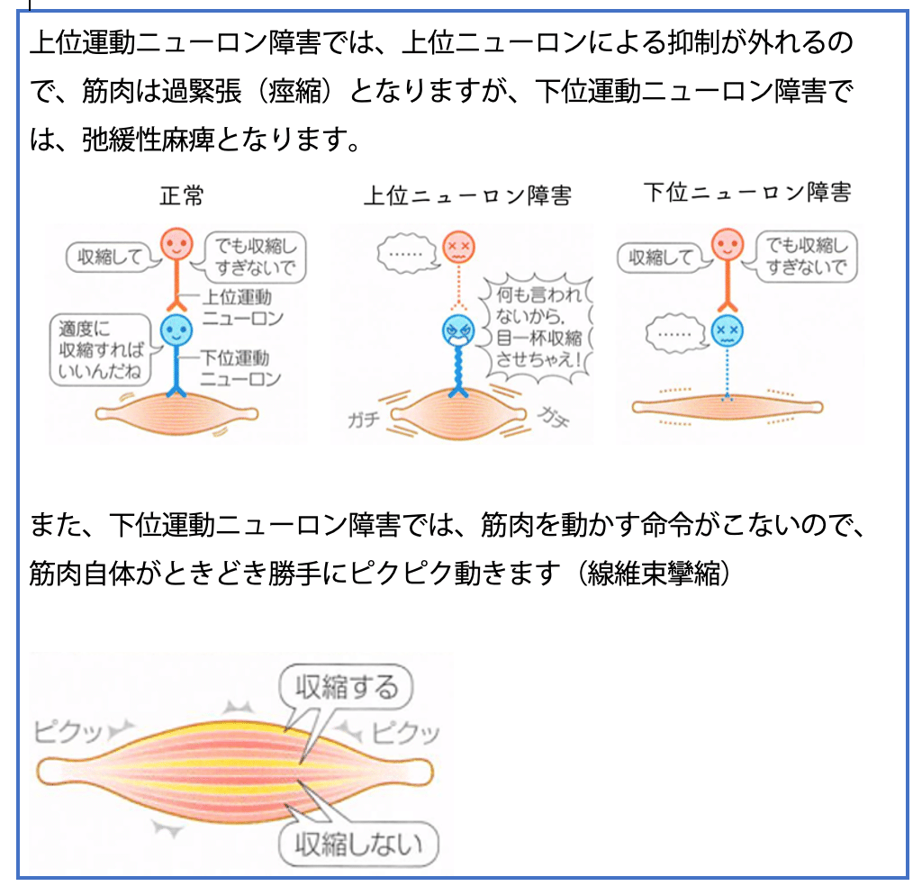 理学療法 高齢者理学療法学 (Crosslink 理学療法学テキスト) | 池添 冬芽 |本