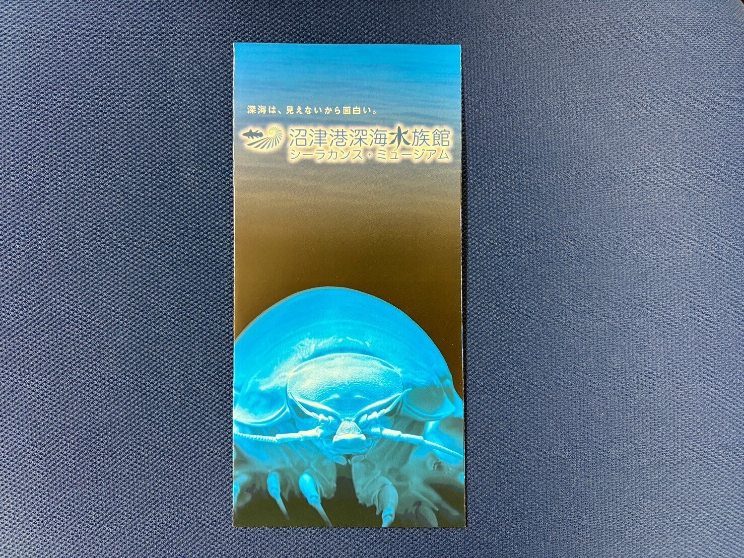 平面水族館　シーラカンス　メンダコ親子　沼津港深海水族館限定 平面水族館 シーラカンス メンダコ親子 沼津港深海水族館限定