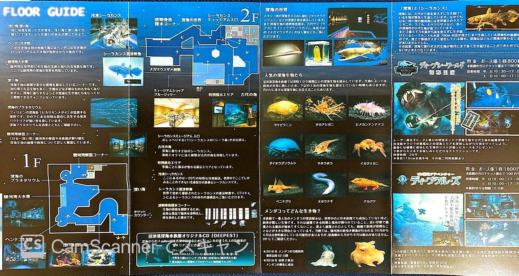 レポ#75 沼津港深海水族館｜haru