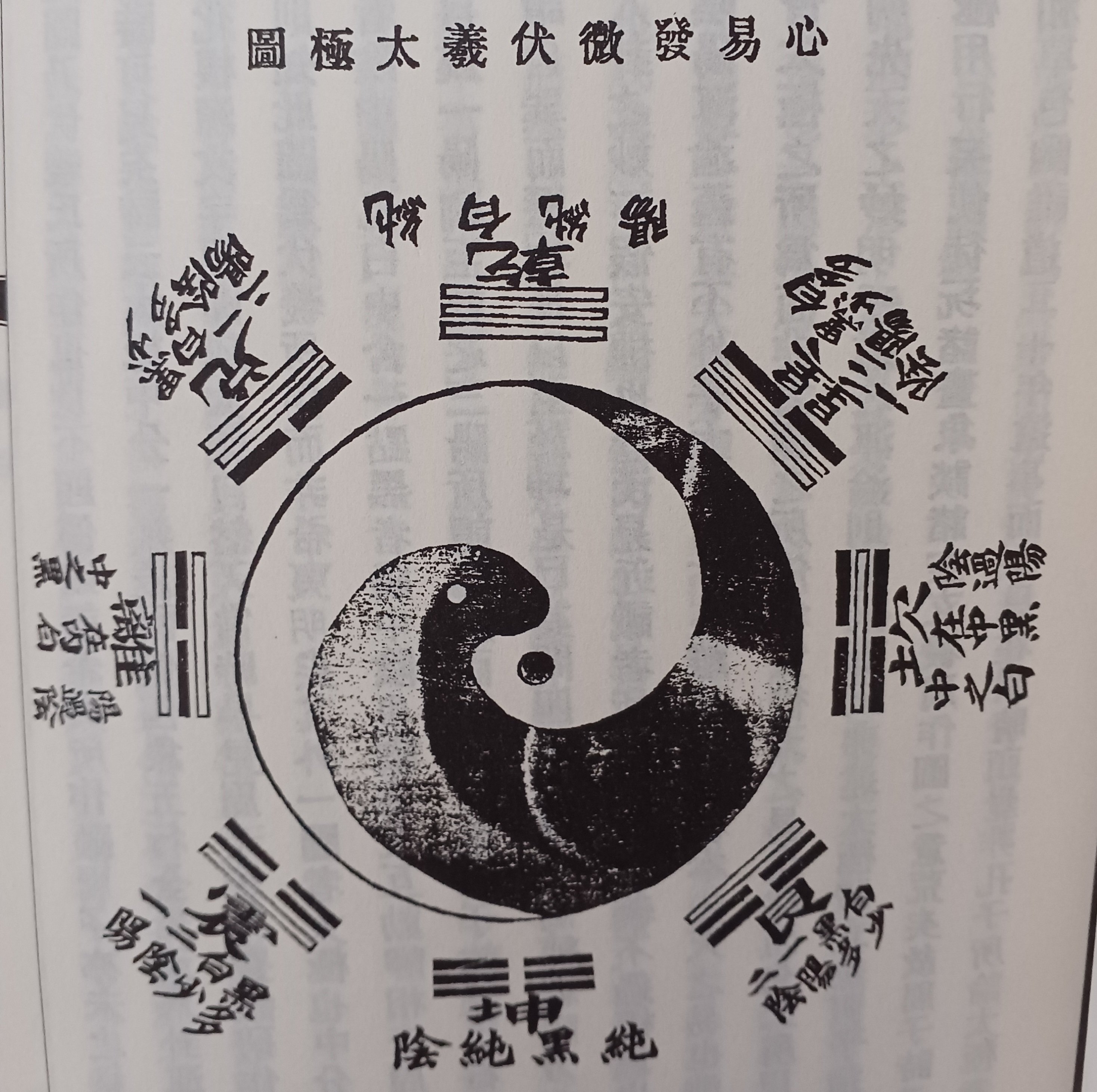 陳氏太極拳テキスト 陳氏太極拳テキスト 続 | 陳 正雷, 大西 智之 |本 | 通販 | Amazon
