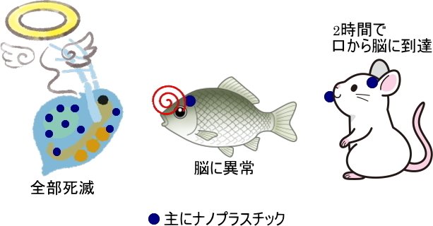動物実験のイメージと結果(くま作/マウスkorogisu)