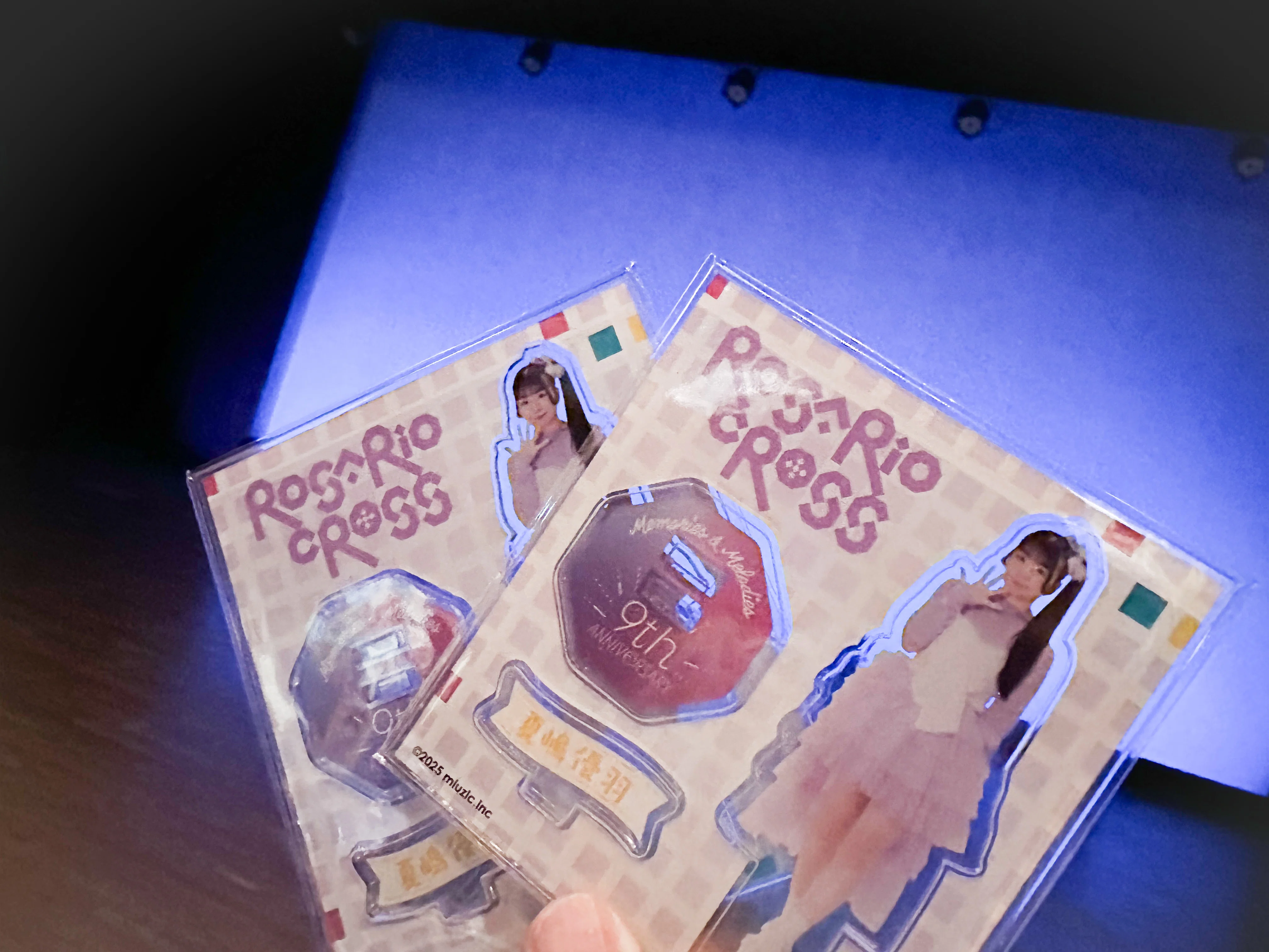 Acrylic Stand Storage Hacks for 110 Yen｜いろはしゅ！