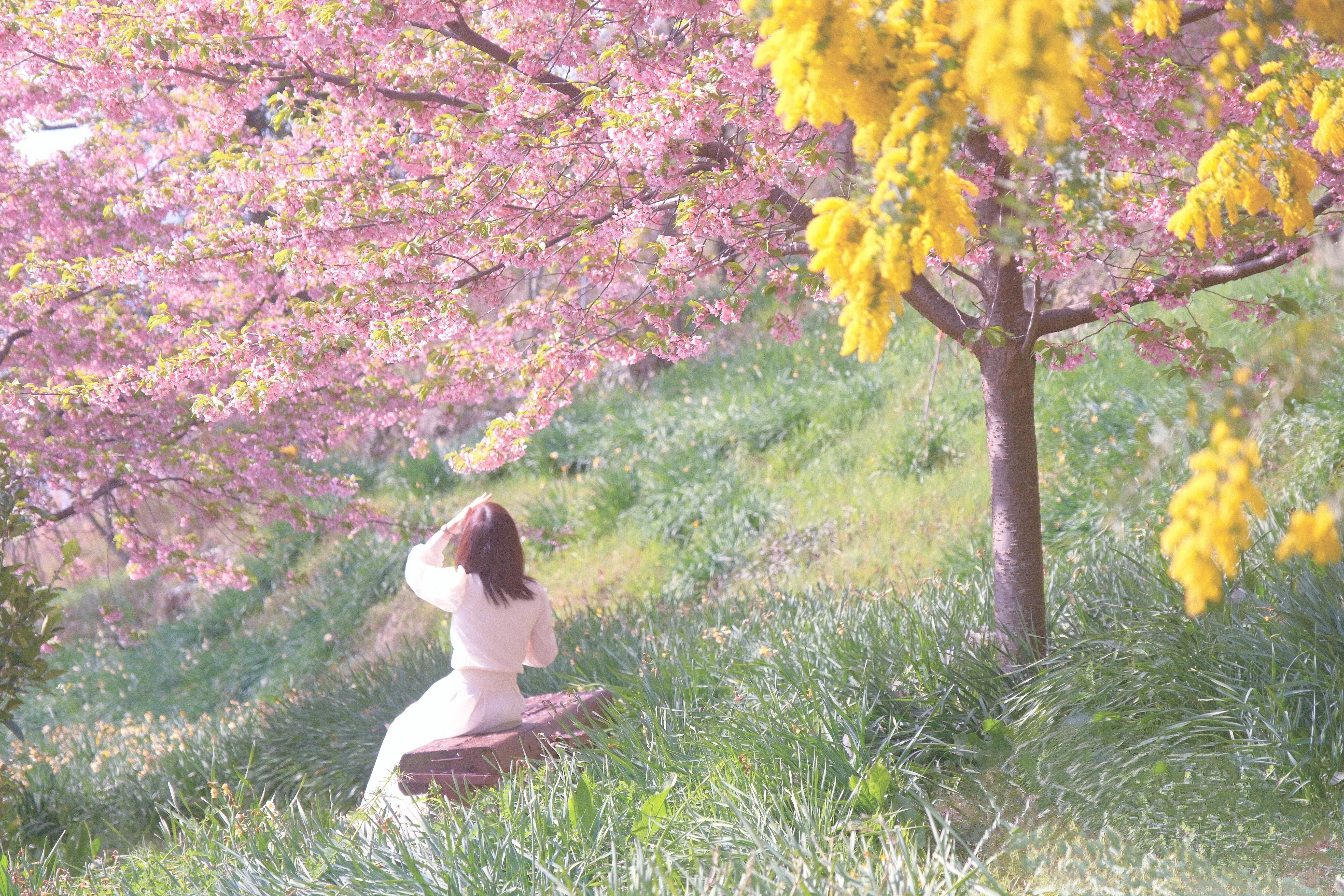 Trip.4｜海の見える花咲く丘｜CHiKA｜旅と写真と
