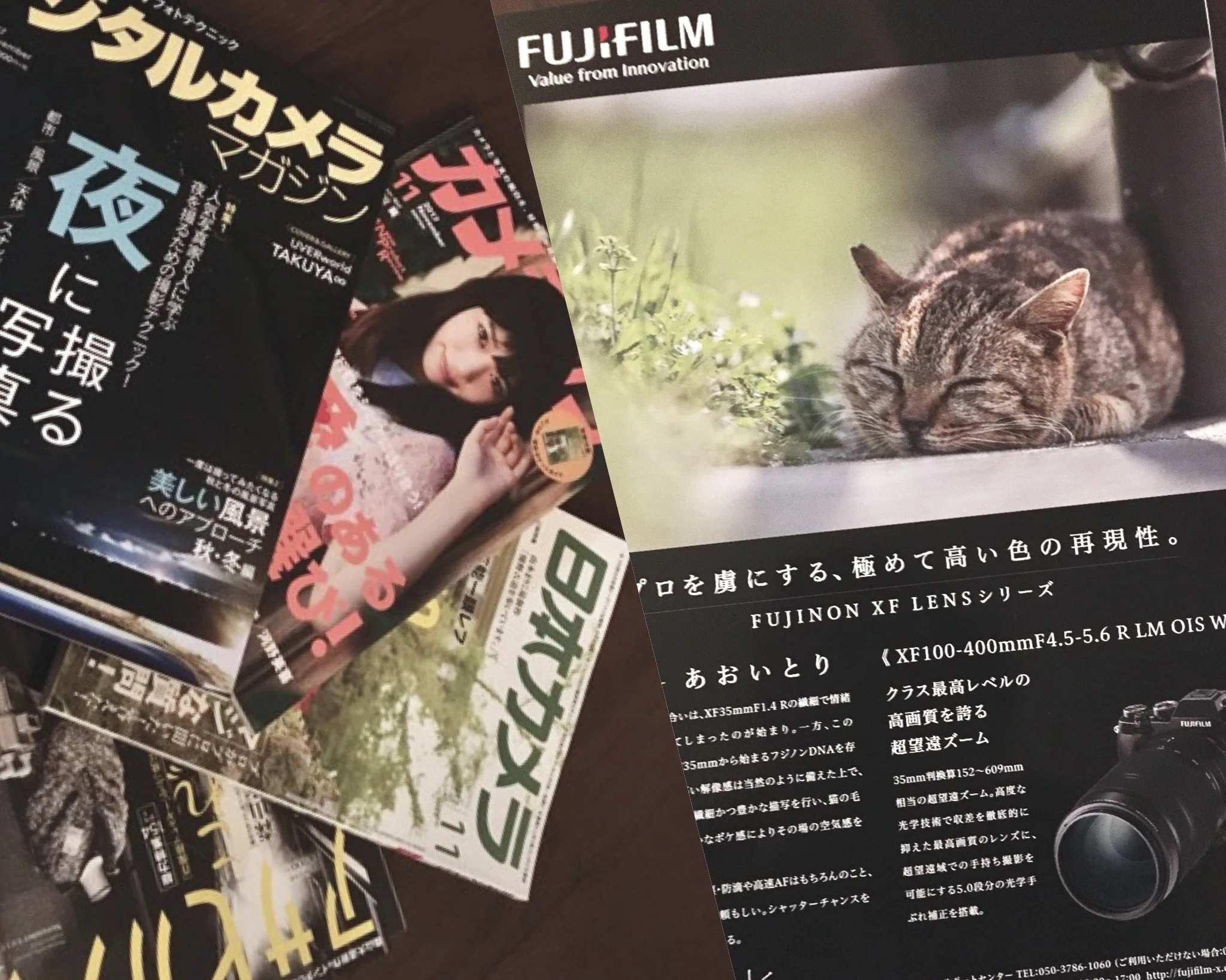FUJIFILM X100VIを導入しました｜猫写真家 あおいとり